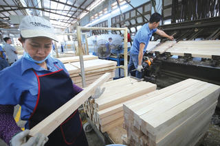 Ngành gỗ: Khai thác tiềm năng cho mục tiêu phát triển xanh