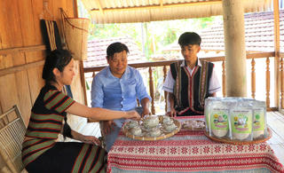 Quảng Ngãi: Học sinh Ca Dong nâng tầm lúa rẫy quê nhà