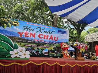 Sơn La: Khai mạc Hội xoài Yên Châu năm 2026