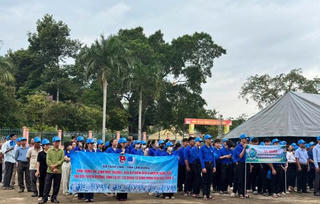 Lâm Đồng: Hưởng ứng phong trào toàn dân chung tay bảo vệ môi trường năm 2026