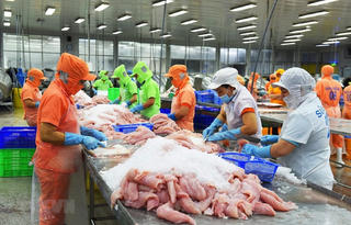  VCCI thông tin khẩn đến doanh nghiệp
