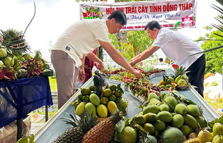 Đồng Tháp khai hội miền trái ngọt, kết nối chuỗi giá trị nông sản