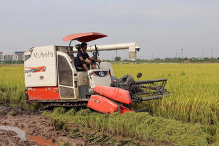 Tăng hiệu quả sản xuất và giảm phát thải cho canh tác lúa đồng bằng sông Hồng