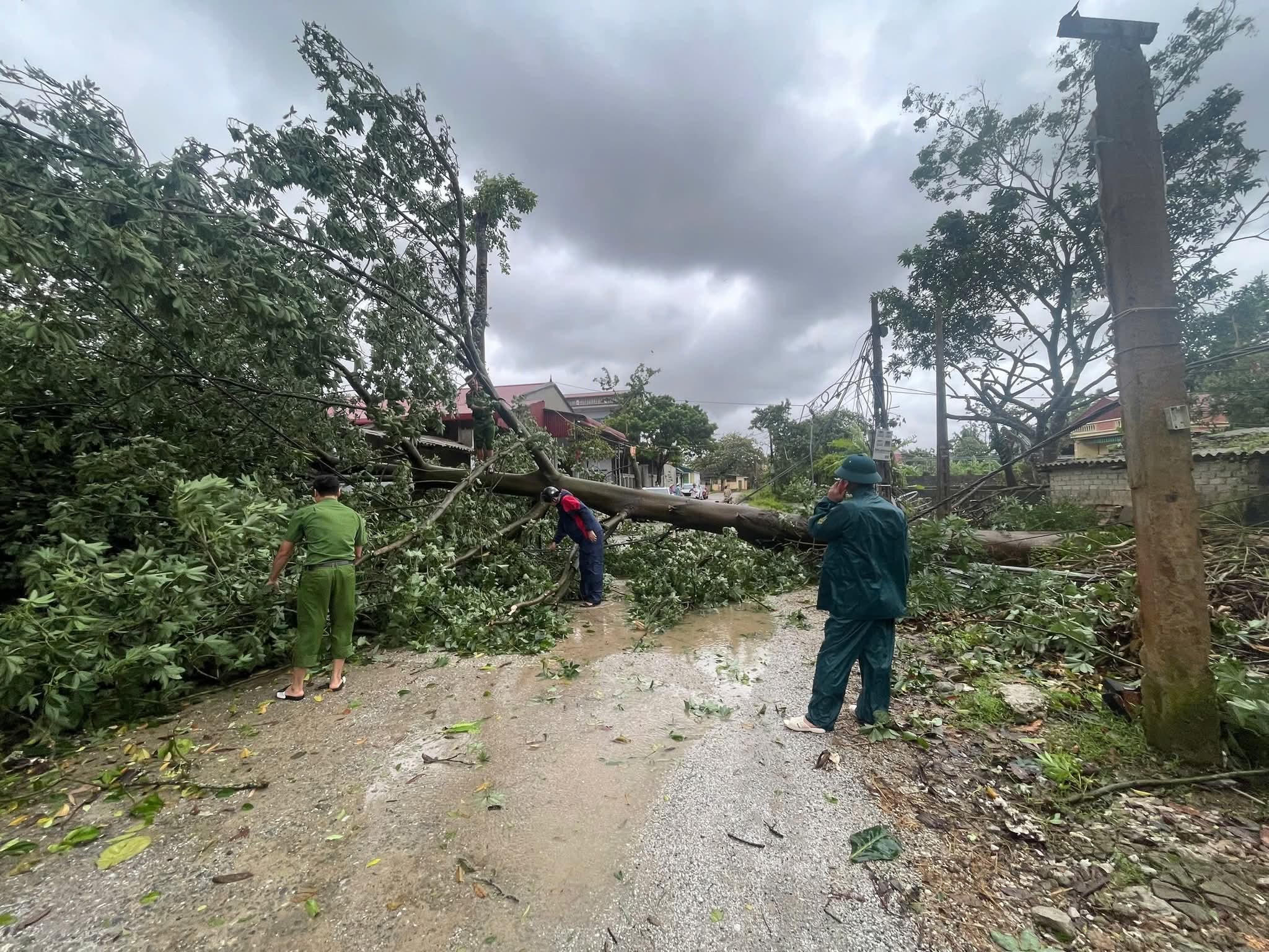 Cây xanh gãy đổ ở xã Biện Thượng, chắn ngang lối đi của người dân. Ảnh: Đình Minh.