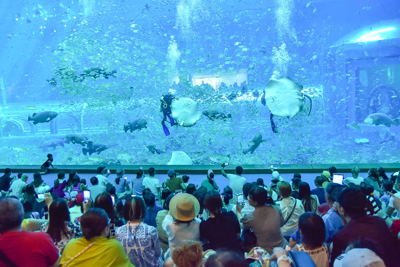 Với hàng loạt dịch vụ du lịch đẳng cấp, Phú Quốc luôn thu hút dông đảo khách du lịch đến vui chơi, nghỉ dưỡng. Ảnh Nguyễn Minh.