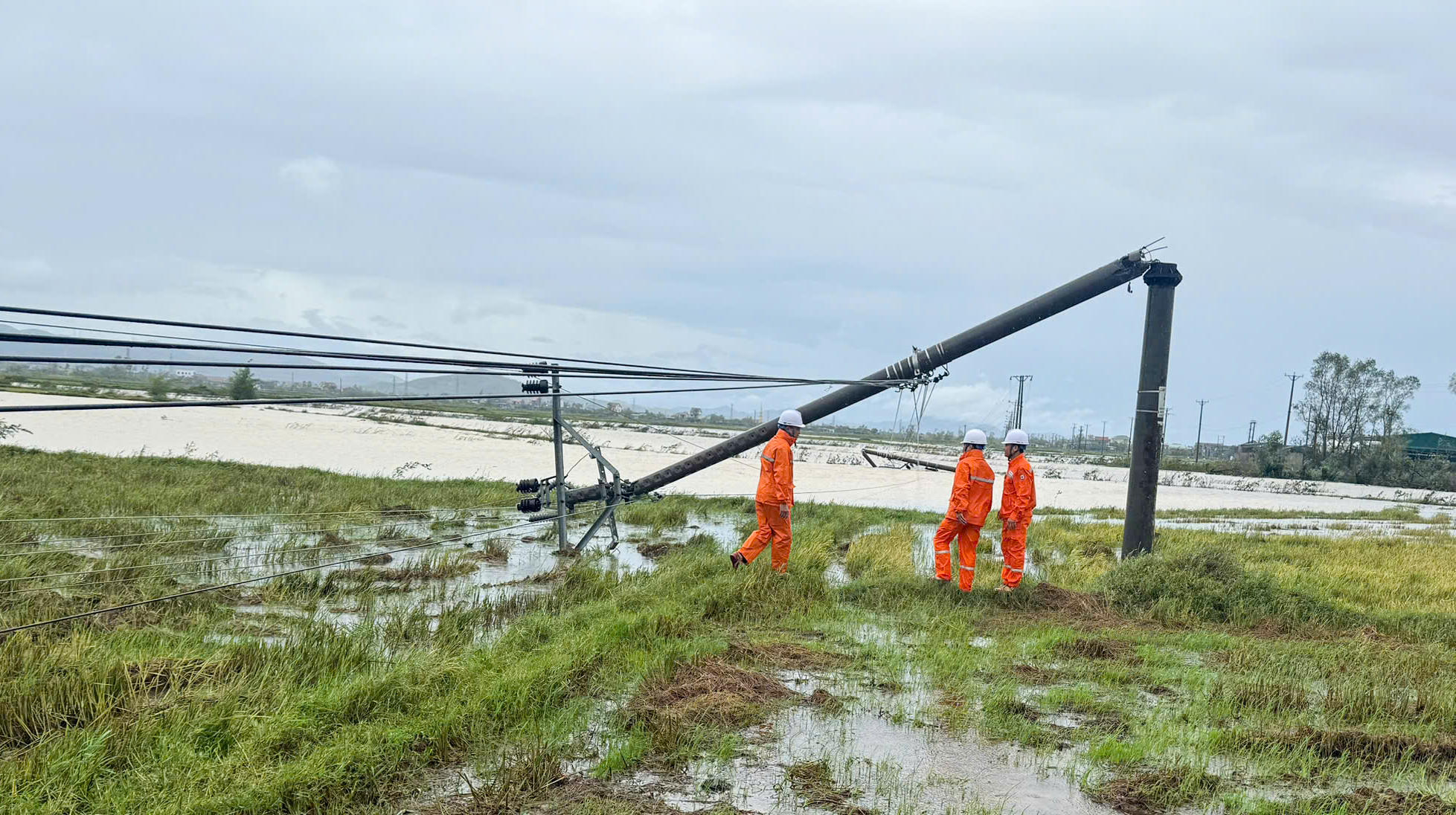 Ngành điện đang tiếp tục rà soát số lượng cột điện bị gãy đổ, khẩn trương triển khai biện pháp xử lý, sớm đảm bảo an toàn giao thông và khôi phục điện cho nhân dân. Ảnh: Cẩm Kỳ.
