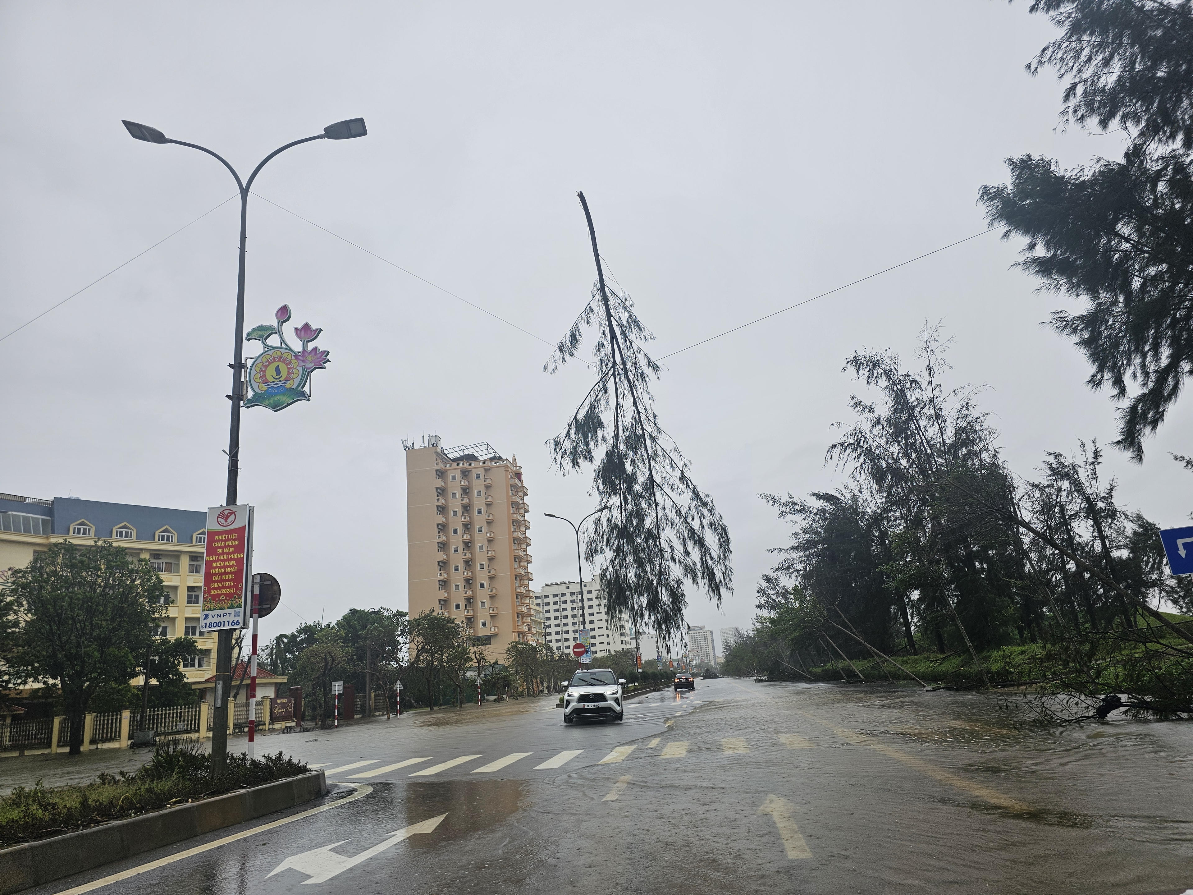 Cành phi lao bị mưa bão thổi bay, treo lơ lửng trên dây điện. Ảnh: Quốc Thanh.