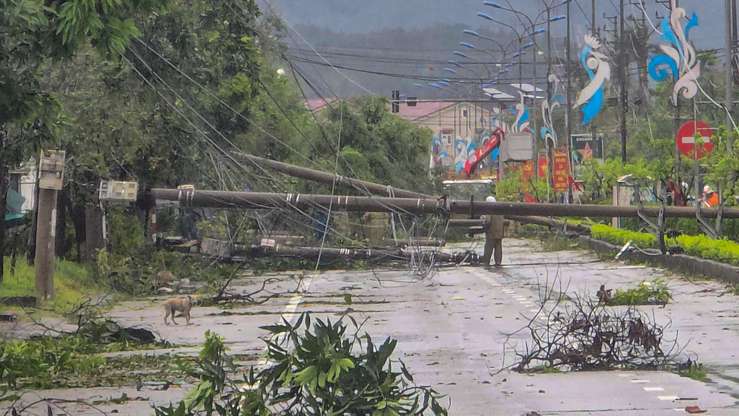 Nhiều cột điện bị gió quật ngã chắn ngang khiến giao thông hoàn toàn tê liệt. Ảnh: Cẩm Kỳ.