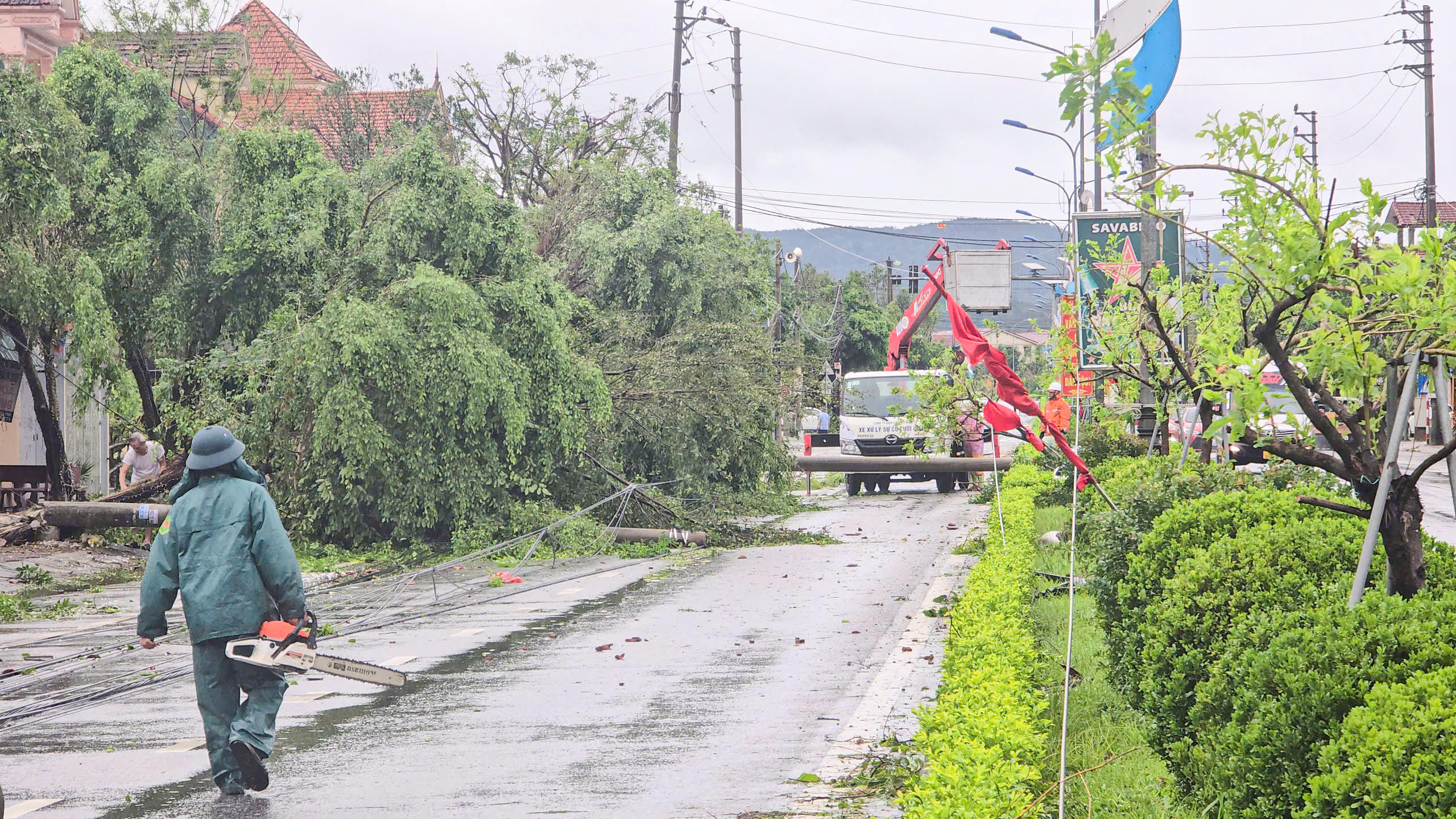 Bão số 10 đã làm gãy đổ số lượng lớn cây xanh, cột điện tại phường Bắc Hồng Lĩnh. Ảnh: Cẩm Kỳ.