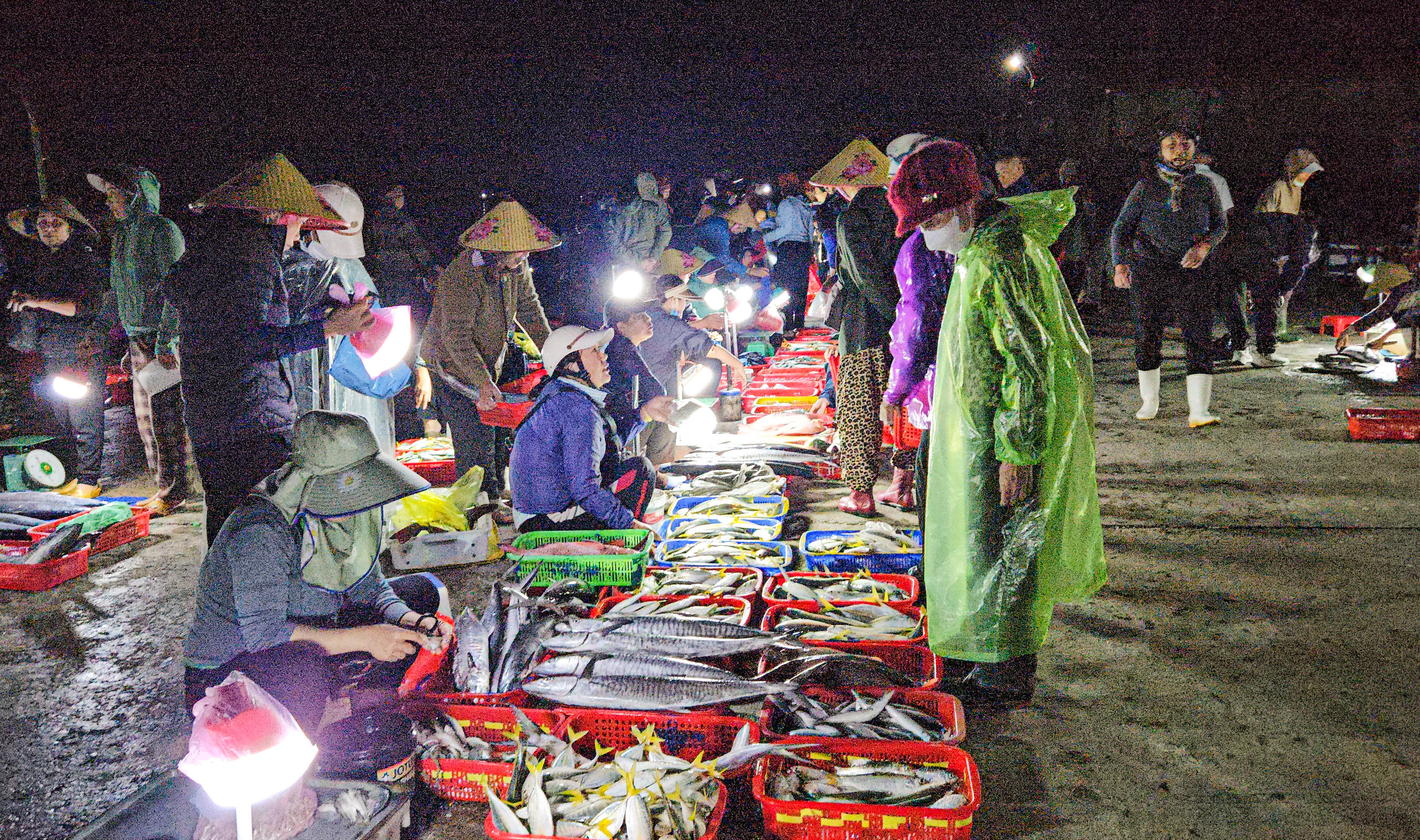 "Thời điểm sáng sớm cá rất tươi và chất lượng, dân buôn chúng tôi phải đến thật sớm, thậm chí là từ 3h sáng, để chọn được hàng đẹp và kịp thời vận chuyển đi các chợ đầu mối", chị Nguyễn Thị Nguyệt chia sẻ. Ảnh: Cẩm Kỳ&nbsp;