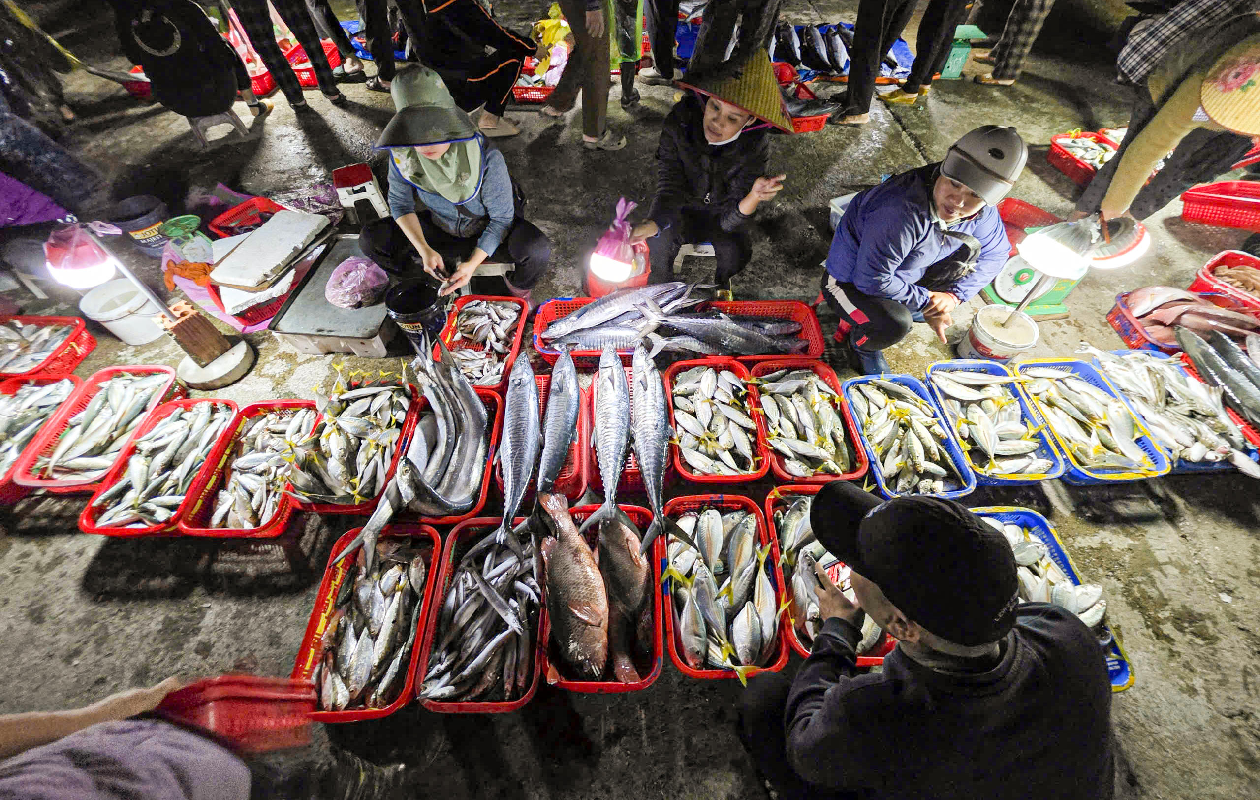 Lượng hải sản cập cảng Cửa Sót đặc biệt dồi dào: mực và tôm các loại, cá bớp, cá bạc má, cá đù, cá thu, cá ngừ… Nhiều loại thuộc nhóm có giá trị kinh tế cao và được thu mua hết ngay khi vừa đưa lên bờ. Ảnh: Cẩm Kỳ&nbsp;