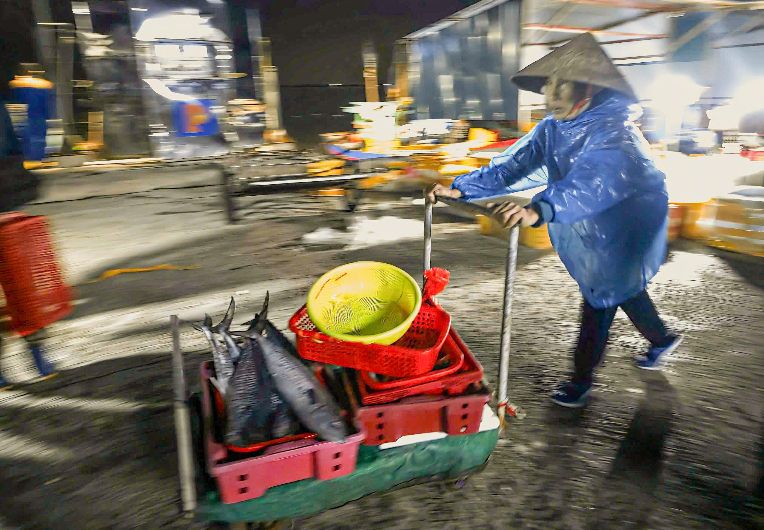 Nhiều người phải có mặt từ 3 giờ sáng để kịp lựa hải sản và vận chuyển đi các chợ đầu mối. Ảnh: Cẩm Kỳ&nbsp;