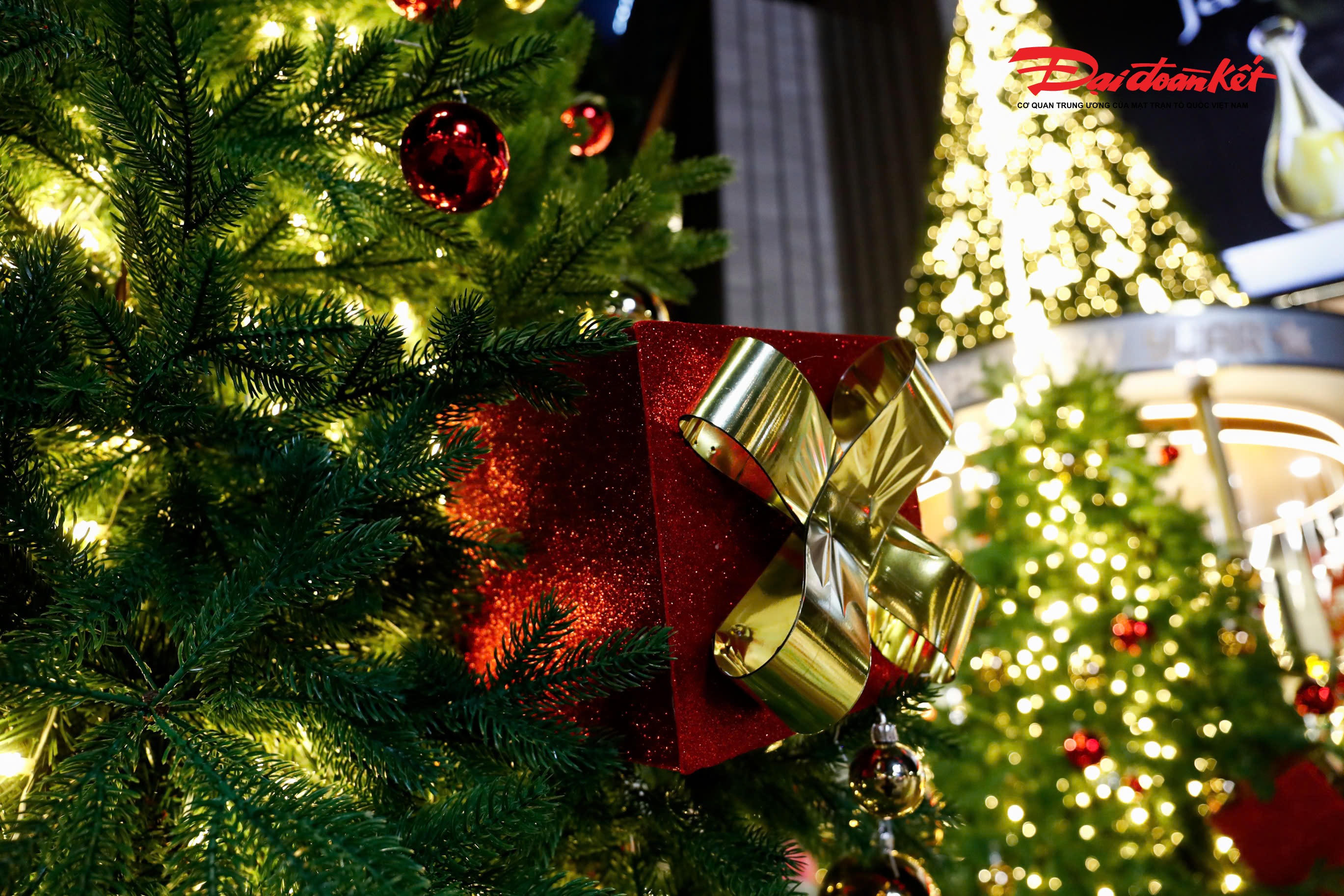Hình ảnh những hộp quà được trang trí trên cây thông đẹp mắt.
