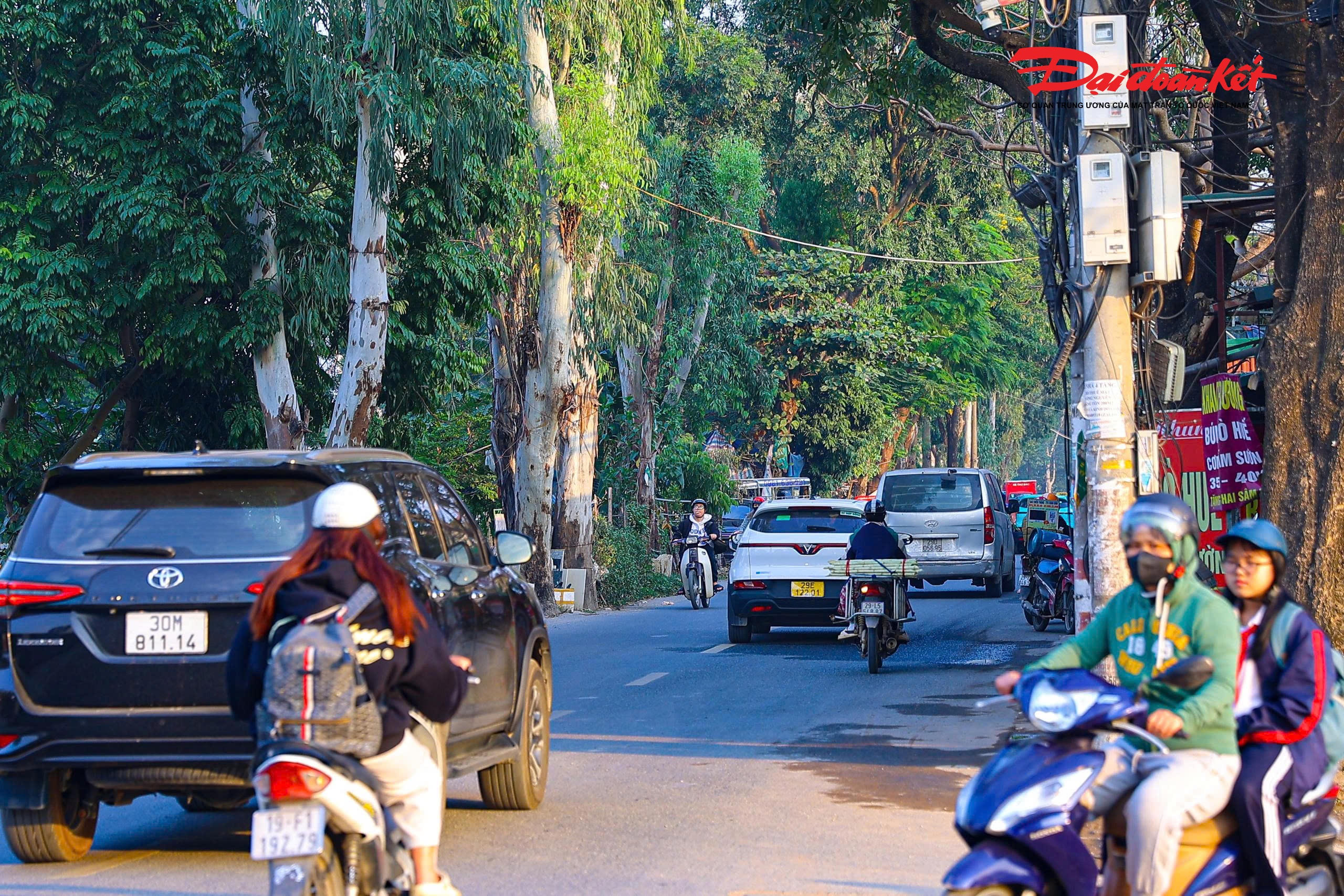 Quy mô mặt cắt ngang tuyến đường được thiết kế theo tiêu chuẩn đường phố chính đô thị, với bề rộng mặt cắt từ 40m đến 64m tùy từng đoạn tuyến. 
