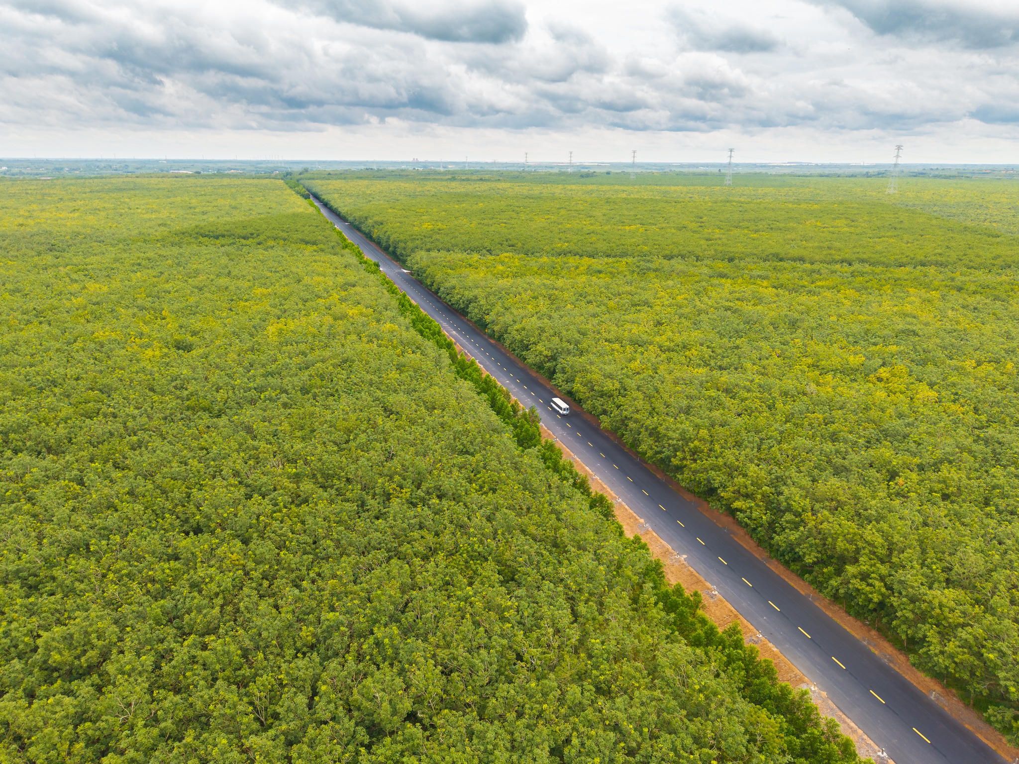 Sau quốc lộ 1A và cao tốc Bắc Nam đã cơ bản liền mạch, trục đường Hồ Chí Minh (còn gọi là cao tốc phía Tây) là tuyến đường thứ 3 chạy từ các tỉnh phía Bắc vào mũi Cà Mau, cũng đang dần hình thành ở khu vực phía Nam. Cuối tháng 12/2025, một số đoạn của dự án đường Chơn Thành-Đức Hoà (đi qua tỉnh Đồng Nai, TP Hồ Chí Minh, Tây Ninh) dài 73km thuộc trục này đã được đưa vào khai thác. Đường Hồ Chí Minh không chỉ là trục đường giao thông kết nối mà còn mang nhiều ý nghĩa về an ninh quốc phòng, lịch sử. Ảnh: Đ.Xá.