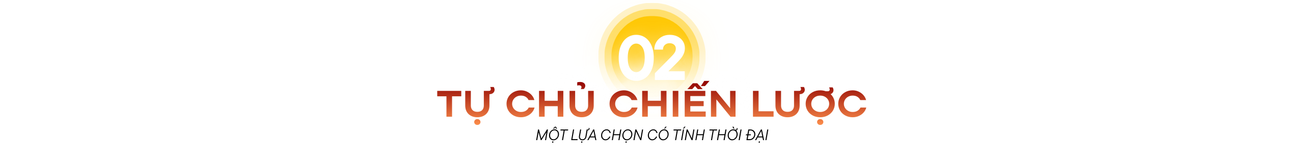 Dấu ấn Việt Nam 2025