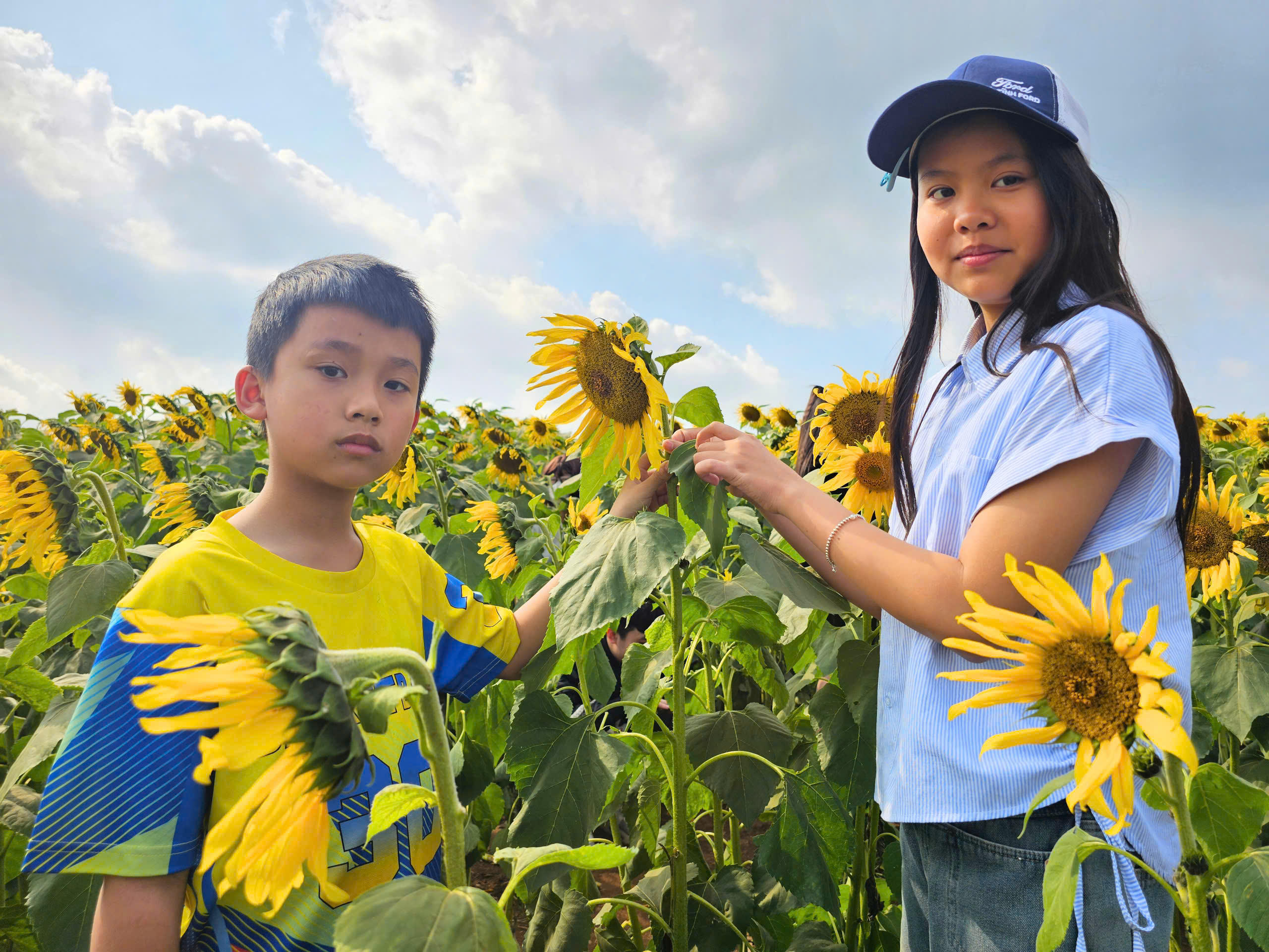 Hai chị em Nhật Linh và Nhật Cường (ở Hà Tĩnh) được người thân dẫn đi thăm đồi hoa hướng dương trong ngày đầu năm 2026. Ảnh: QT
