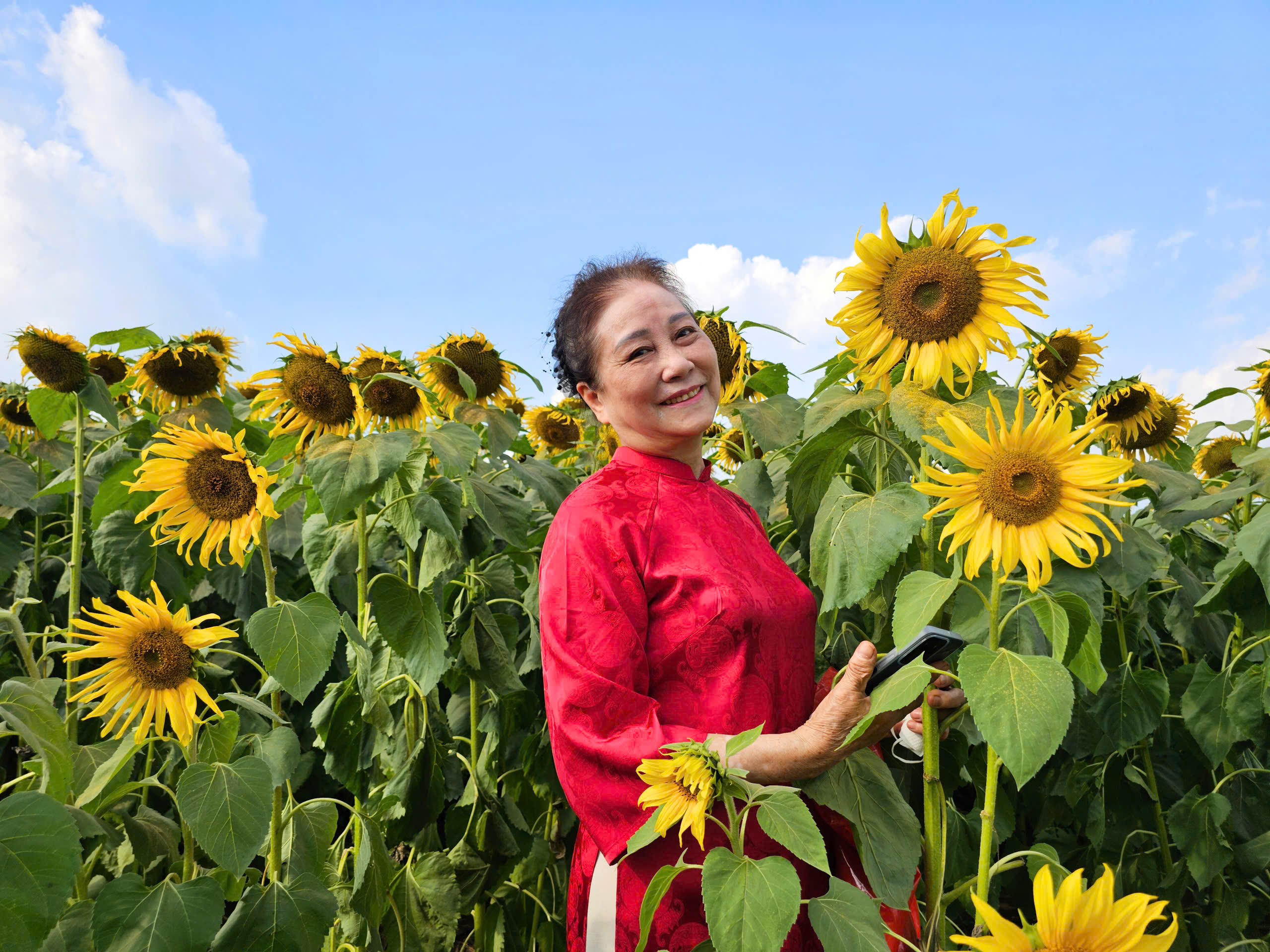  Bà Nhi tạo dáng bên hoa hướng dương. Ảnh: QT