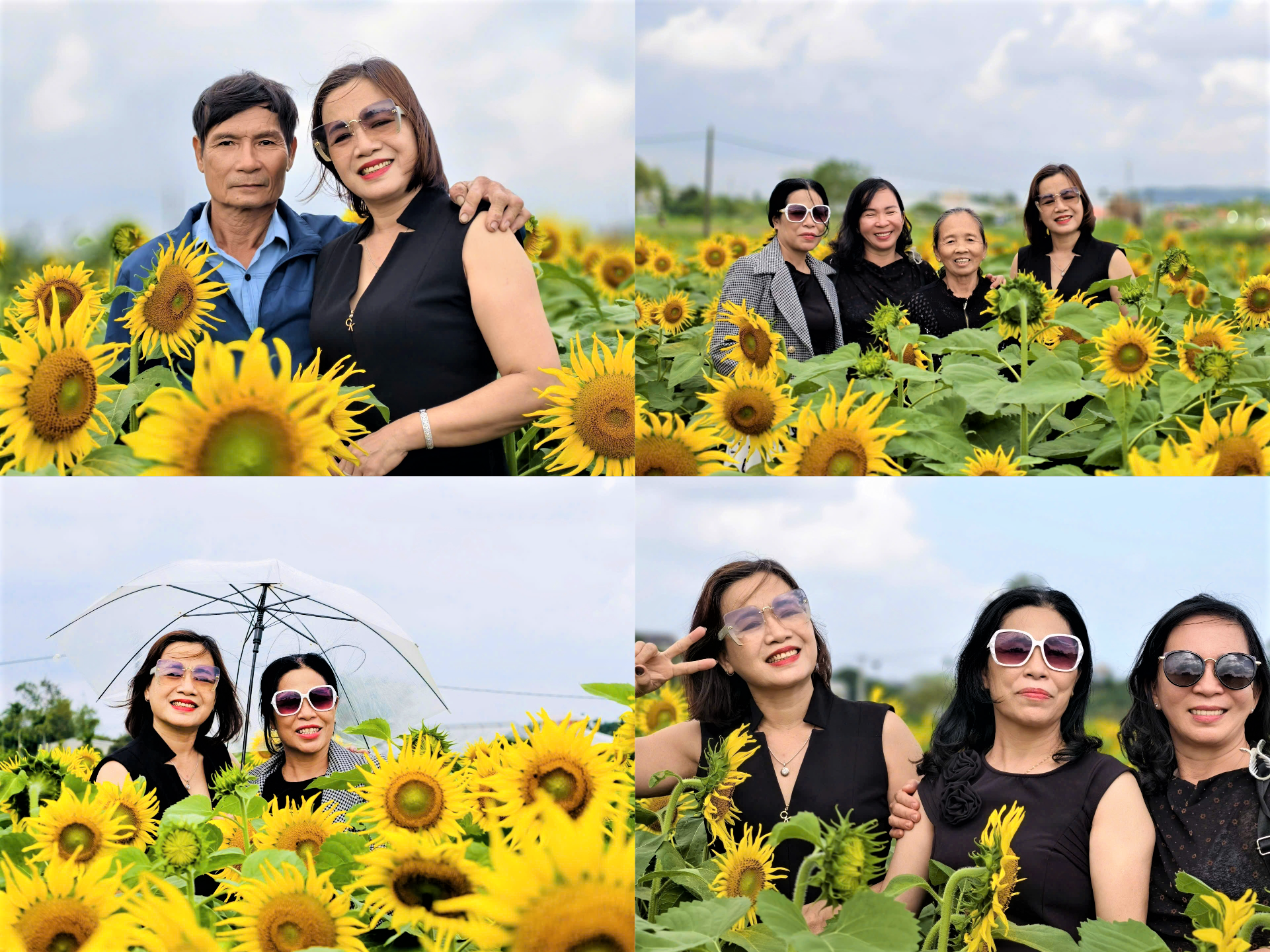 Nhiều người chụp ảnh, check in lưu lại khoảnh khắc tại cánh đồng hoa dướng dương. Ảnh: CV.