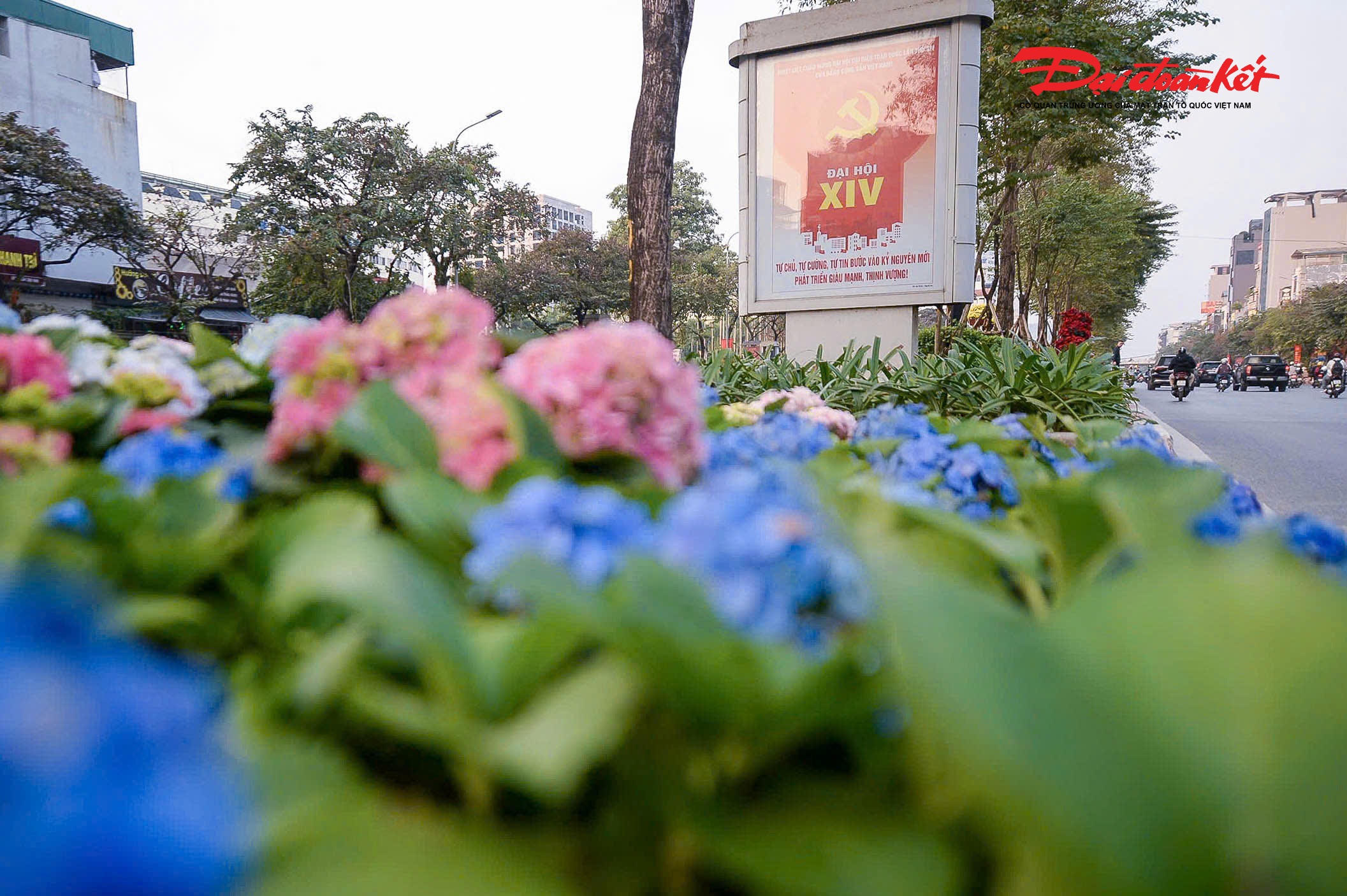 Tuyến đường Văn Cao, hệ thống pano, áp phích, khẩu hiệu tuyên truyền được trang hoàng rực rỡ.