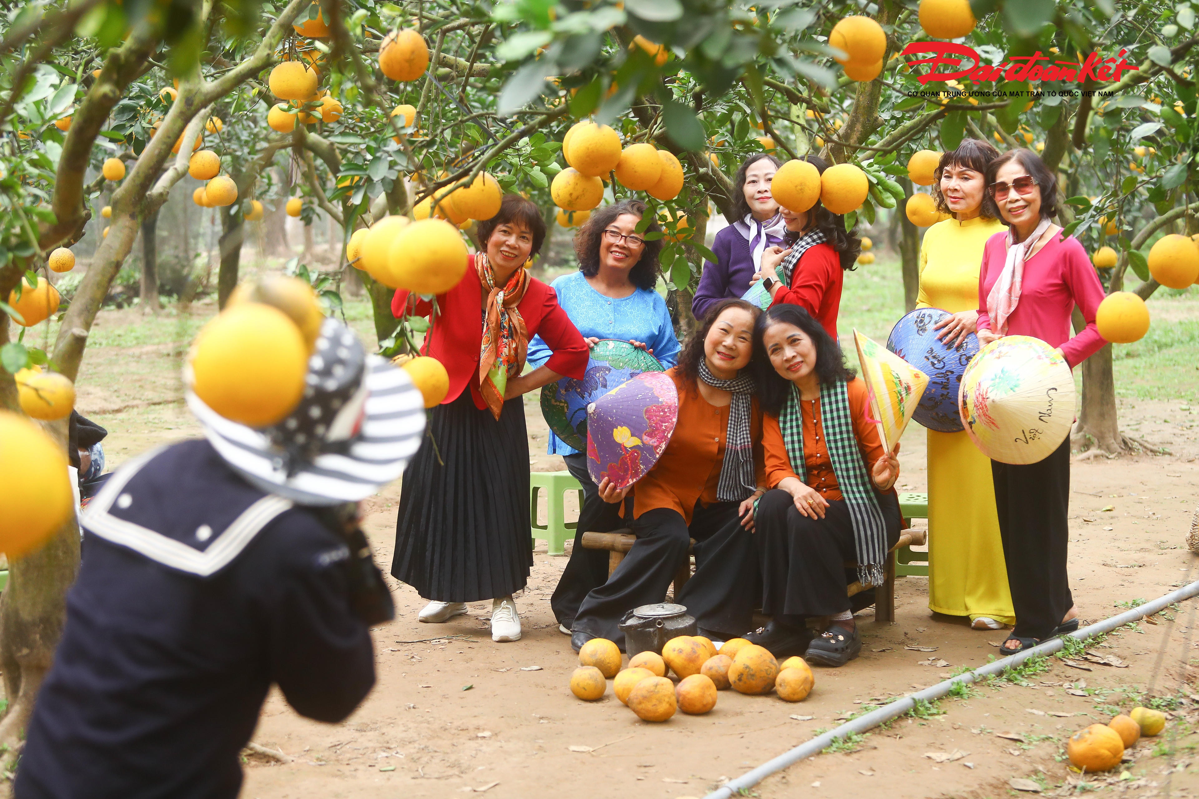 Nhiều người tranh thủ đến tham quan, chụp ảnh, lưu giữ những khoảnh khắc đẹp trước thềm năm mới và cảm nhận không khí Tết đang đến rất gần.