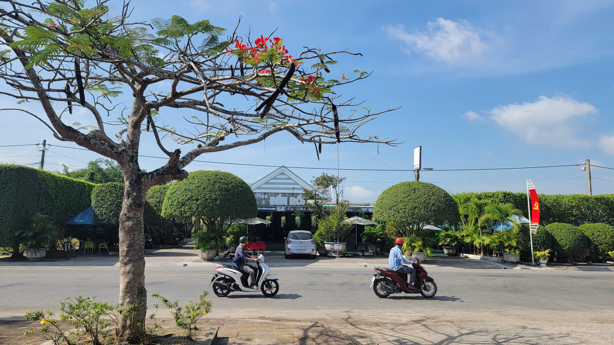 Trên các tuyến đường trung tâm và khu dân cư xã Phước Long công tác chỉnh trang đô thị, vệ sinh môi trường đang được đẩy nhanh tiến độ. Hè phố được giải tỏa thông thoáng, cây xanh được cắt tỉa, hệ thống chiếu sáng được kiểm tra, tu sửa.