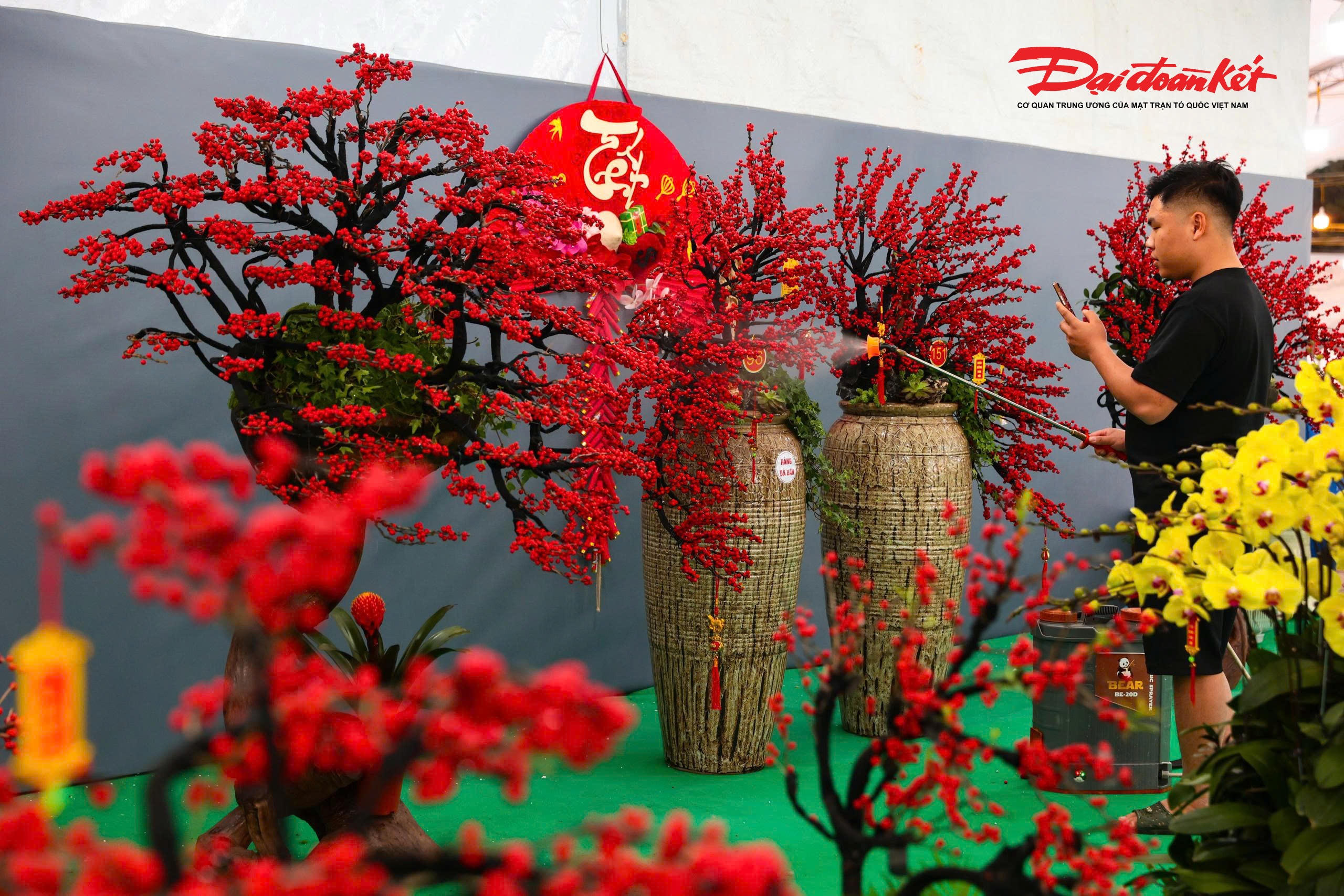 Giáp Tết Nguyên đán 2026, ghi nhận tại một chợ hoa trên địa bàn Hà Nội, nhiều gốc đào đông đỏ rực rỡ được bày bán dày đặc, với mức giá từ vài triệu đến hàng trăm triệu đồng mỗi gốc. Sắc đỏ nổi bật cùng hình dáng lạ mắt khiến loại hoa này nhanh chóng thu hút sự chú ý của người dân và khách tham quan trong những ngày mua sắm cao điểm cuối năm.