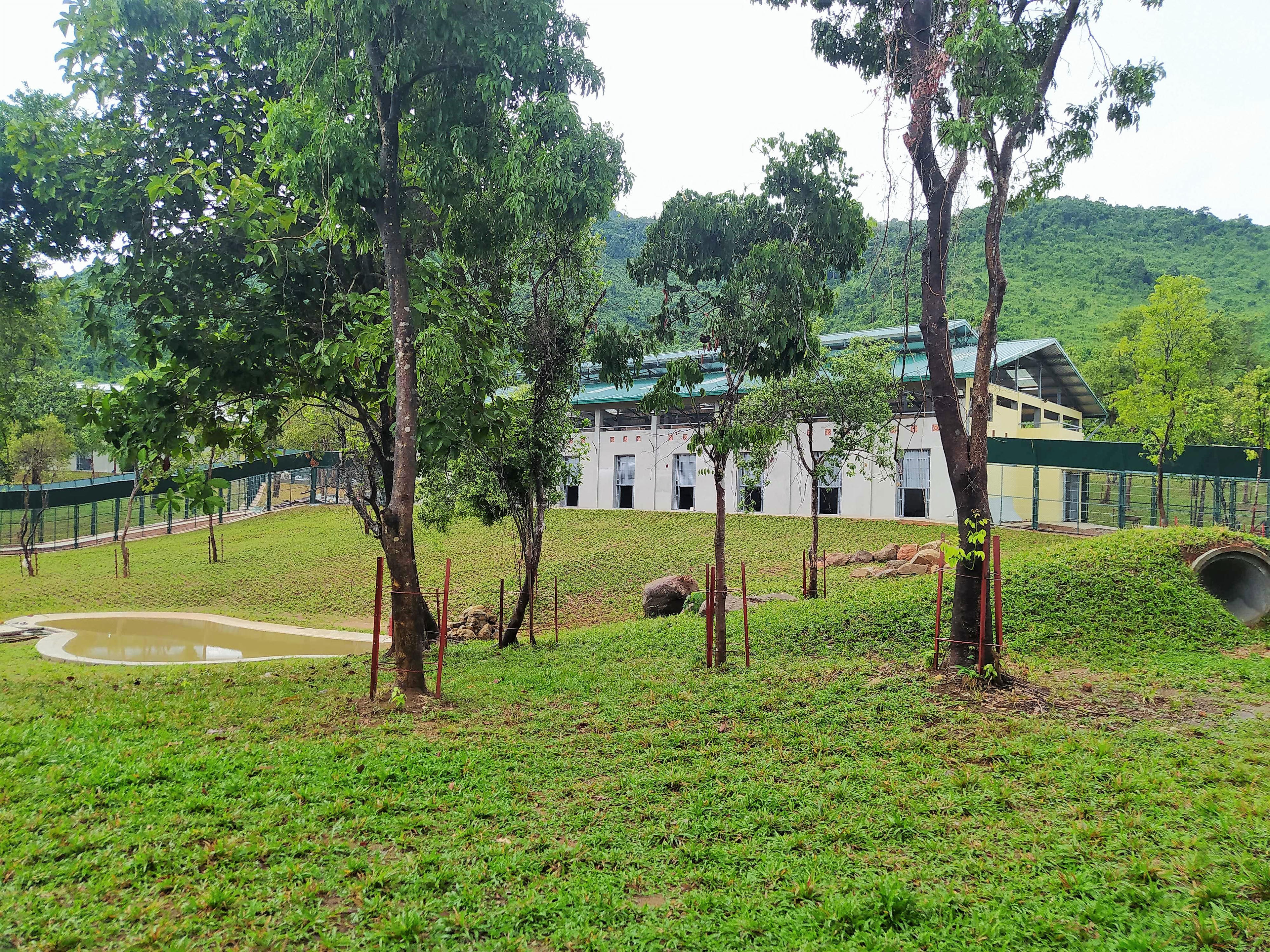 Trung tâm bao gồm 6 nhà gấu, 12 khu bán trú hoang dã, khu hành chính, khu nghỉ dưỡng cho nhân viên, khu cách ly, khu bệnh viện thú y, khu chế biến thức ăn cho gấu và khu giáo dục truyền thông.&nbsp;Ảnh: T.T.