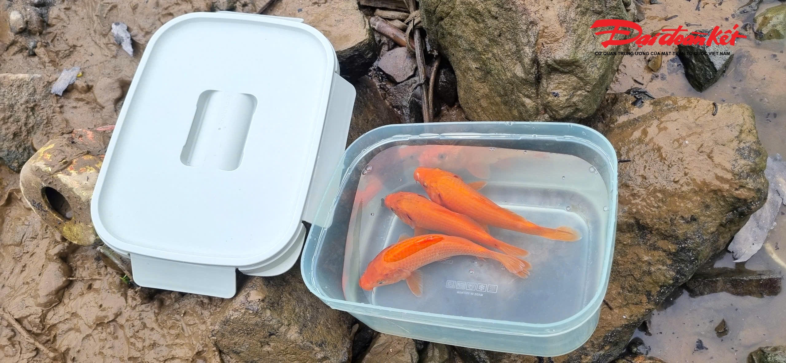 “Mình thả cá để làm điều lành, nên không thể tiện tay ném cả túi nilon xuống nước được”, Anh Tú, một người dân ở phường Vinh Lộc nói. Sự thay đổi từ suy nghĩ đến hành động ấy cho thấy nếp sống văn minh đang dần được hình thành. Ảnh: ĐB