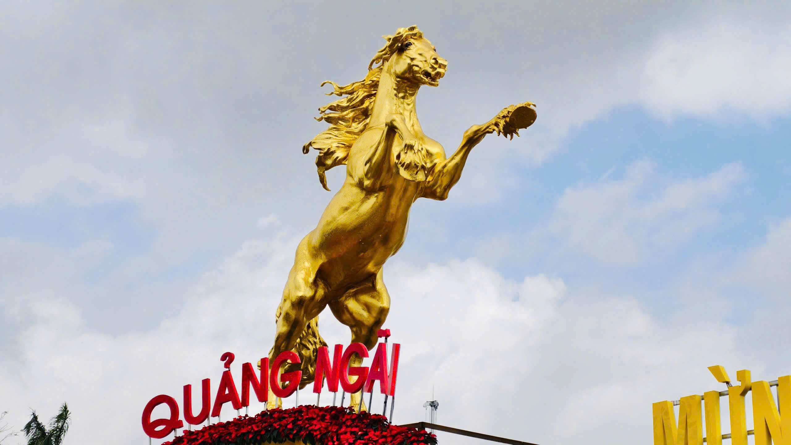 Ngựa vàng trông rất mạnh mẽ, thần thái. Ảnh: CV.