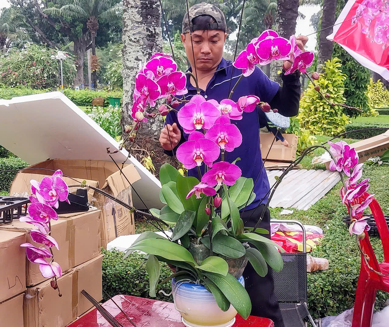 Ngoài bán, gian hàng còn phục vụ cắm lan tại chỗ theo yêu cầu của khách hàng.