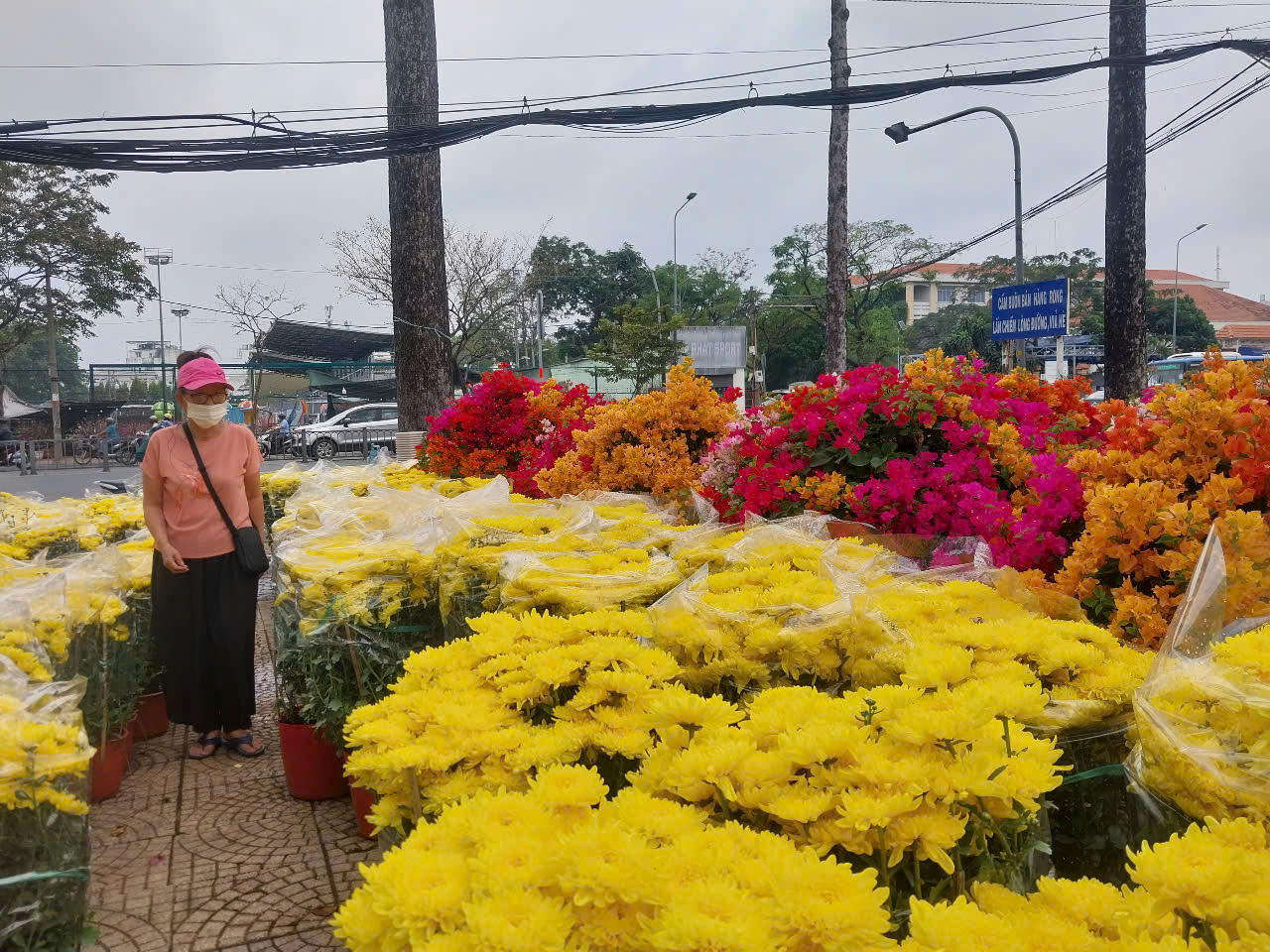 Một nhà vườn đến từ miền Tây cho biết năm nay mang lên thành phố khoảng 200 chậu cúc đại đóa, kỳ vọng sẽ bán hết trong dịp cao điểm.