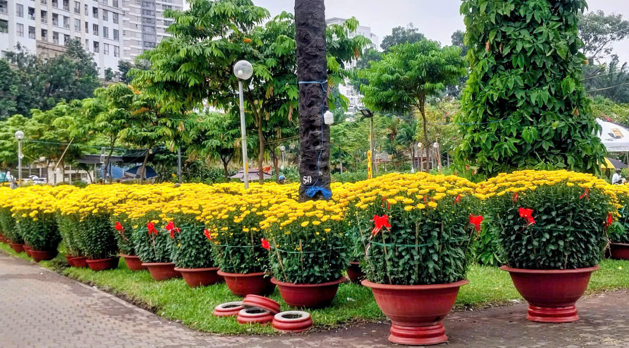 TP Hồ Chí Minh: Rực rỡ sắc xuân tại các chợ hoa trung tâm