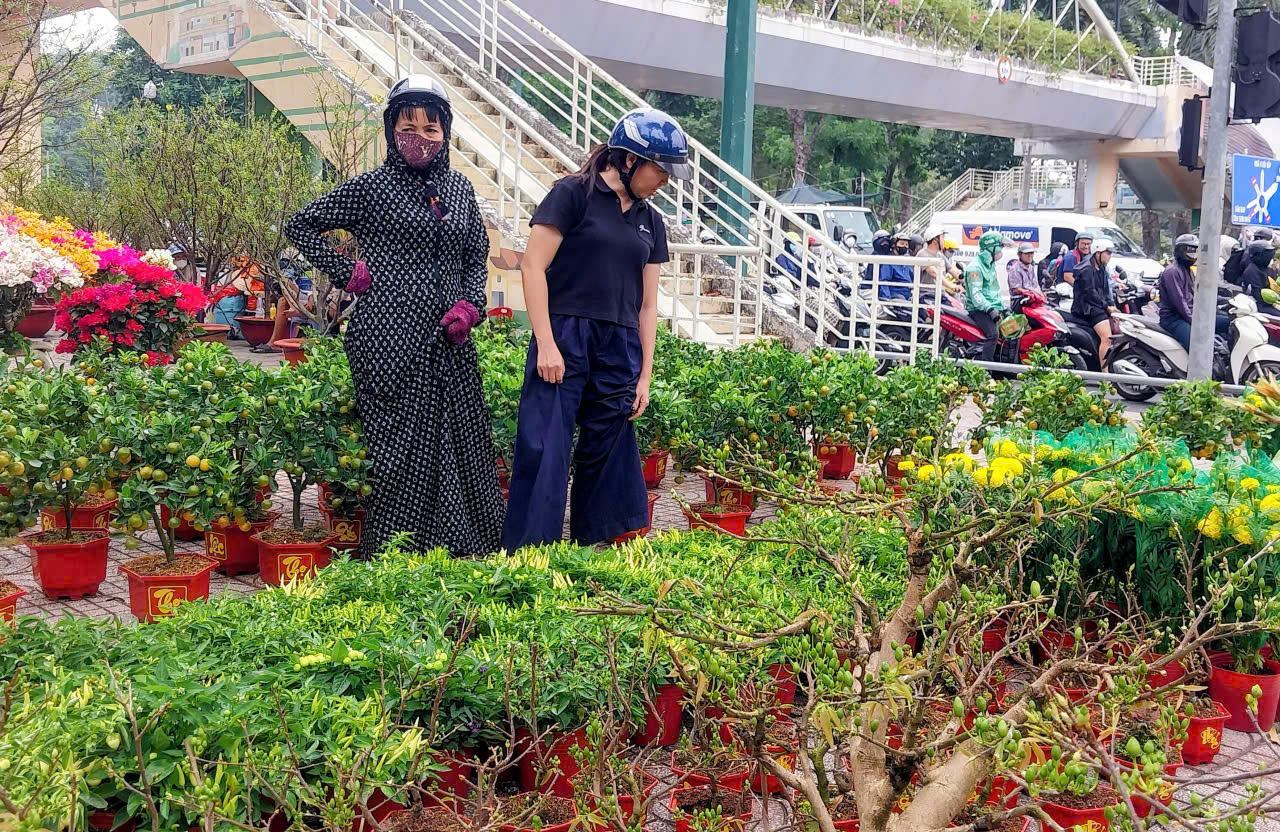Ghi nhận của phóng viên, tại Chợ hoa Xuân Công viên Gia Định, hoa Tết từ các tỉnh - thành khác về nhiều, tràn ngập các lối đi.