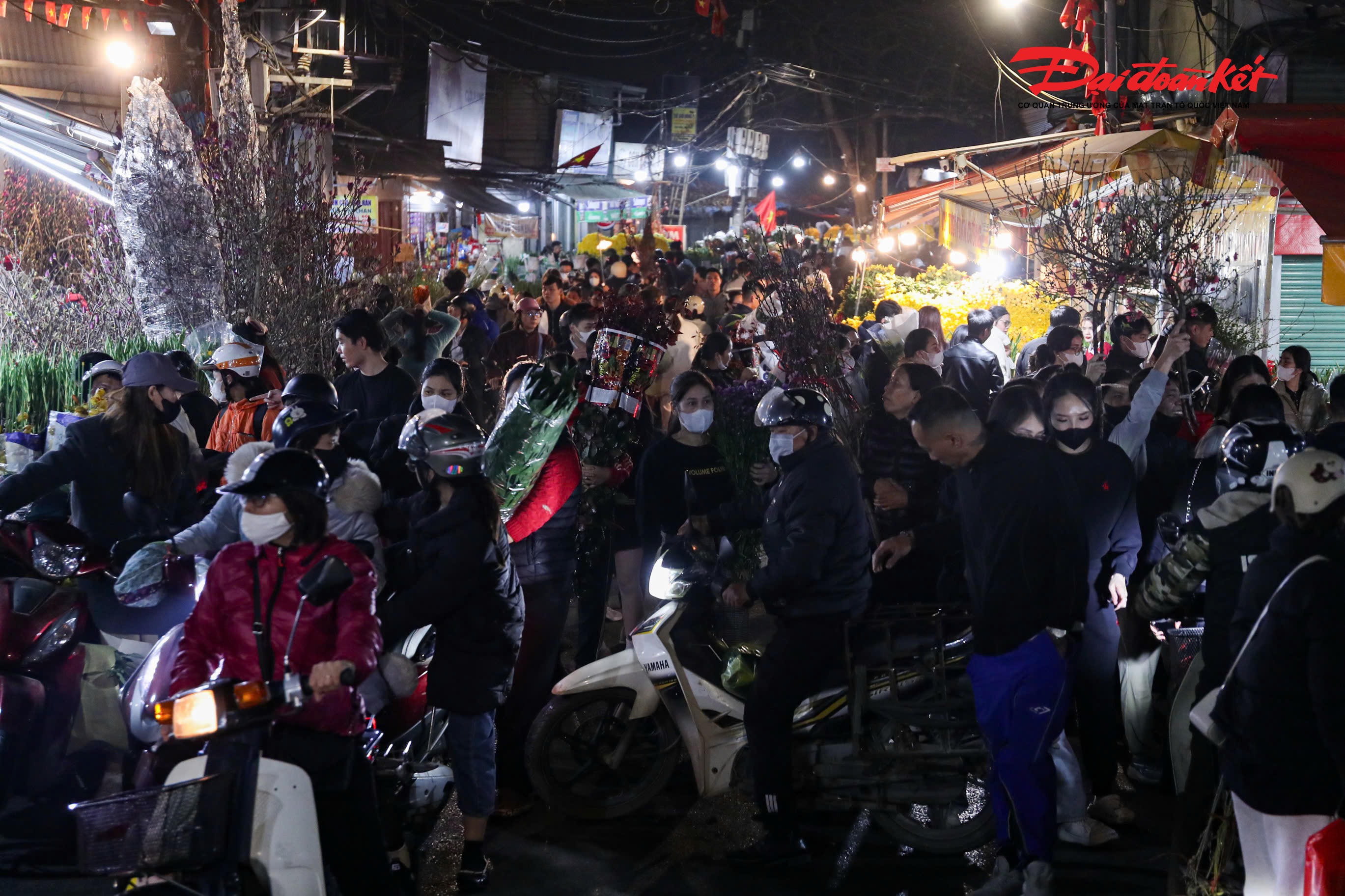 Từ lâu, chợ hoa Quảng An đã trở thành đầu mối cung cấp hoa tươi quan trọng cho Hà Nội và các tỉnh phía Bắc, đặc biệt mỗi dịp lễ, Tết.