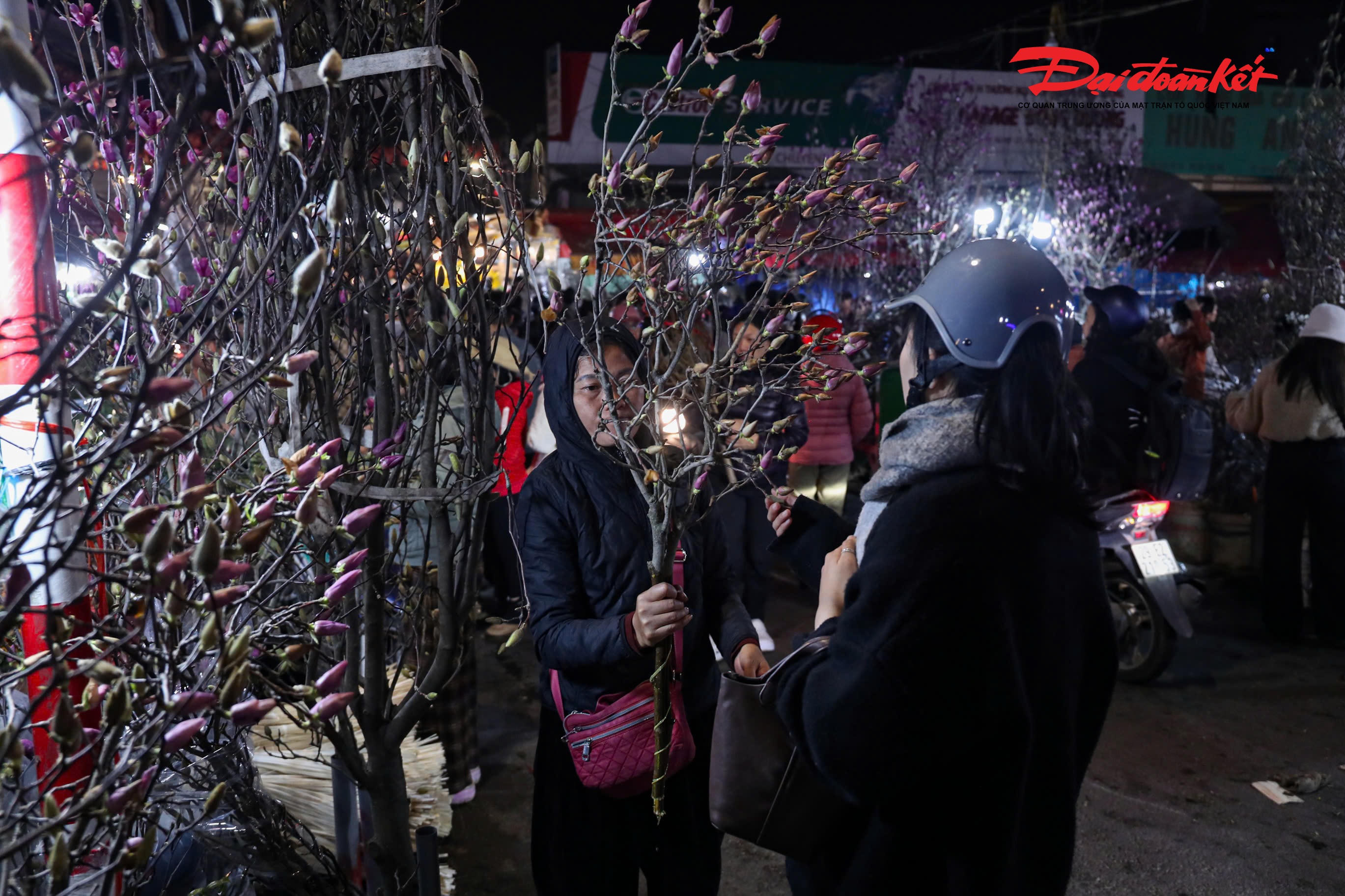 Ngày thường, tuyết mai có giá 70.000 – 90.000 đồng/bó, song dịp cận Tết đã tăng lên 150.000 – 200.000 đồng/bó. Hoa mộc lan cao ngang đầu người, dáng đẹp, nụ đều được chào bán từ 1,7 – 2 triệu đồng/cành; những cành, cây thế độc đáo có giá lên tới vài triệu đồng. Trong khi đó, các mặt hàng phổ biến như hoa hồng, hoa cúc chỉ ghi nhận mức tăng nhẹ hơn.