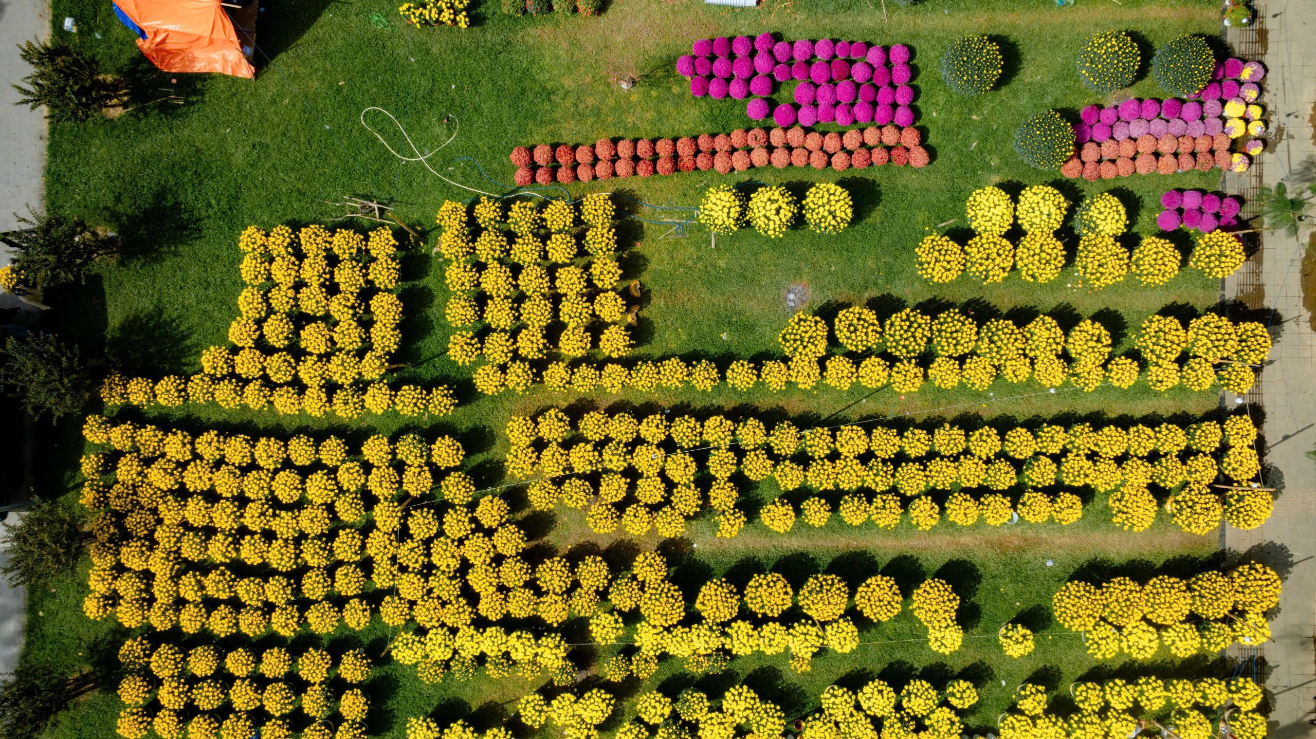 Sắc xuân ngập tràn trên vùng đất cố đô Huế