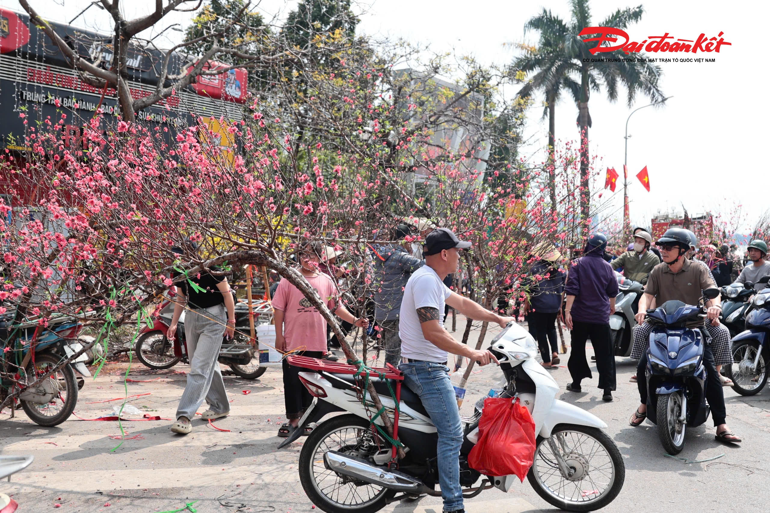 Theo ghi nhận của PV Báo Đại đoàn kết, năm nay không có ngày 30 Tết, khiến nhiều tiểu thương phải tất bật “xả hàng” với mức giảm giá sâu để kịp thu hồi vốn. Giữa dòng người mua sắm vội vã, họ vừa tranh thủ bán nốt những cành đào, chậu quất cuối cùng, vừa thấp thỏm thu dọn gian hàng để sớm trở về quê sum họp cùng gia đình trước thời khắc Giao thừa.