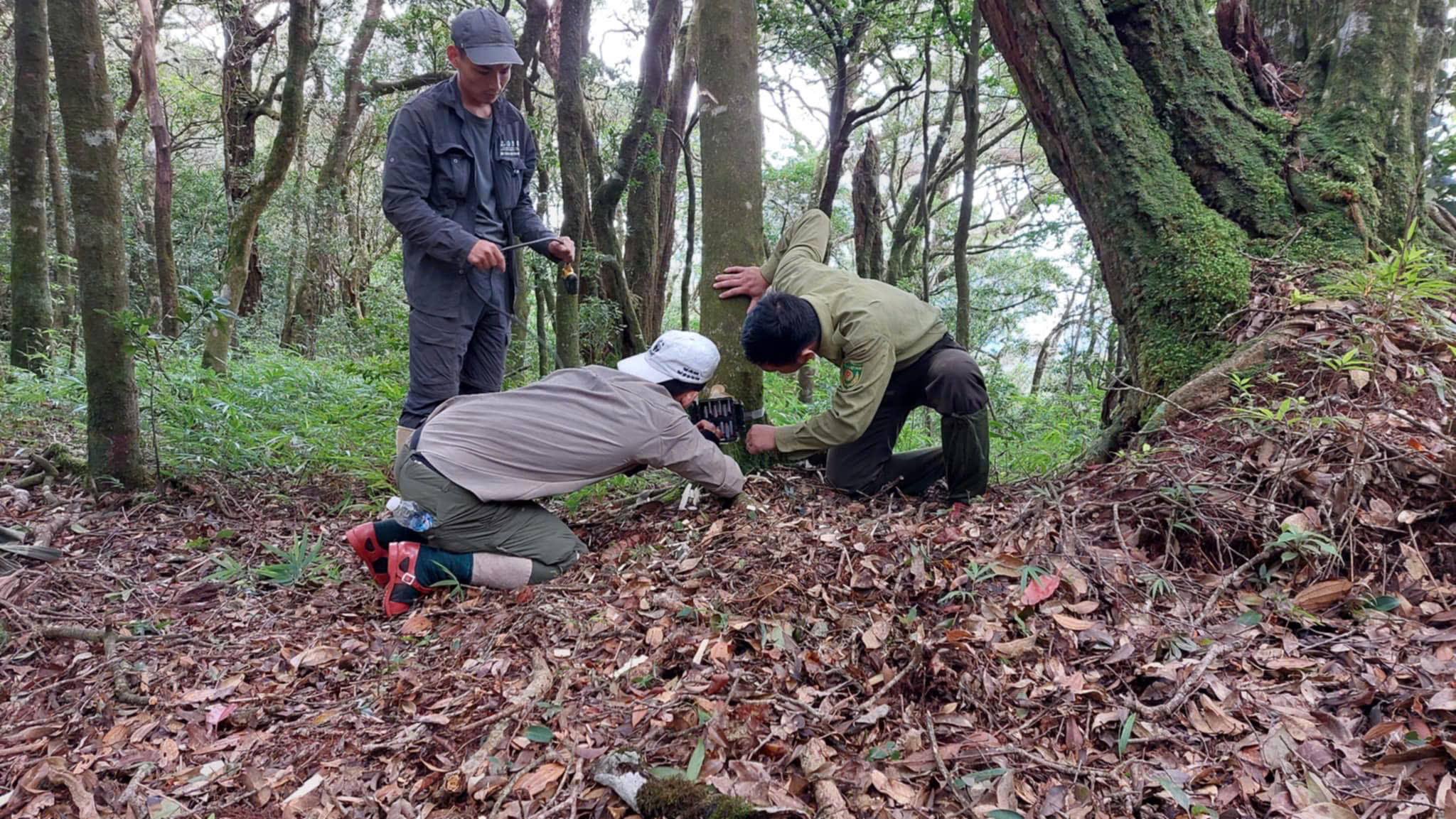 Để chọn được một vị trí đặt máy, họ mất hơn hai giờ đi bộ, không phải vì thiếu chỗ, mà vì không thể đặt tùy tiện.