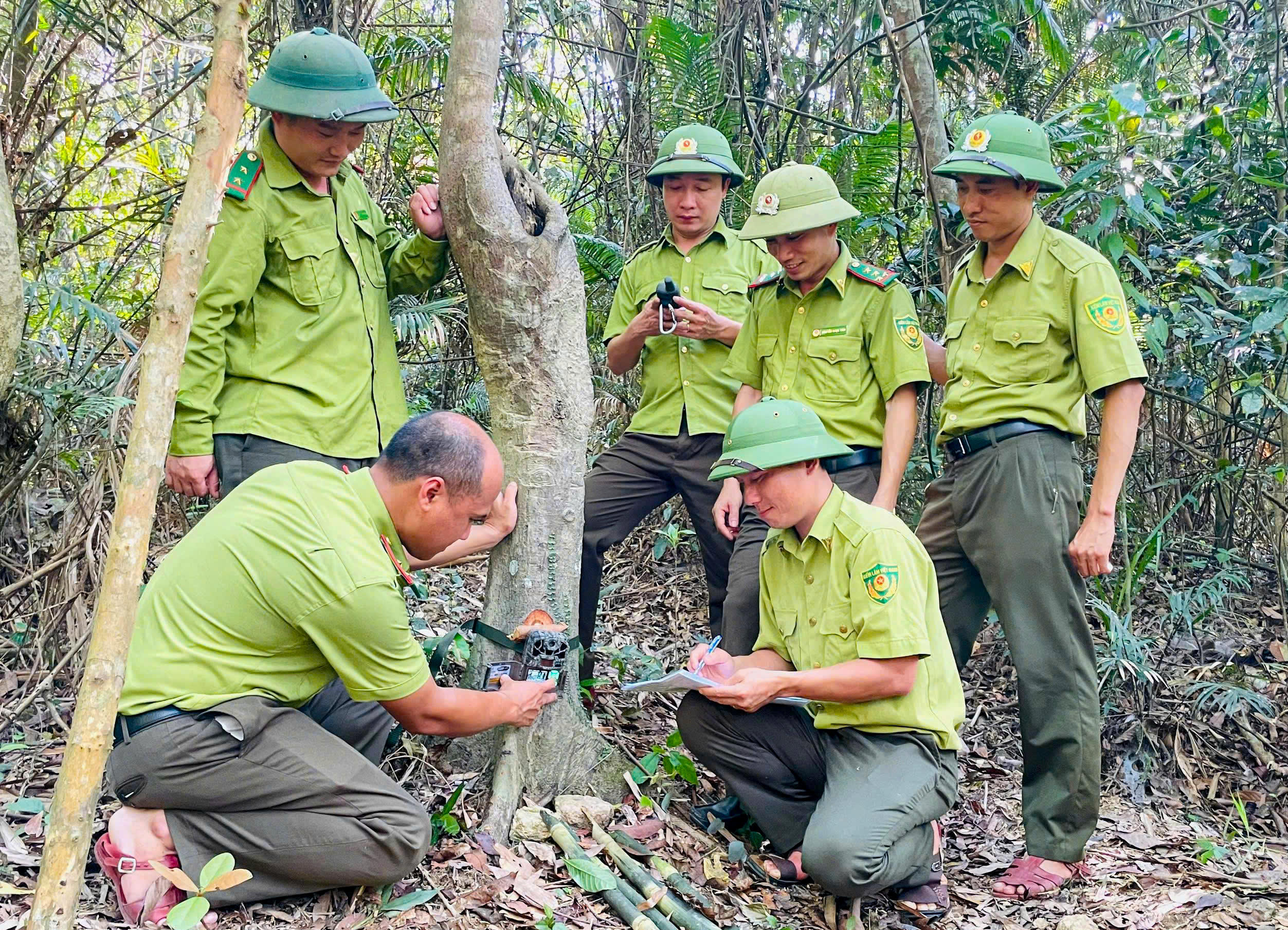 Phía sau mỗi khung hình là bước chân của những người làm công tác bảo tồn, những người chấp nhận gian khó để giữ lại dữ liệu, và từ đó giữ lại những giá trị của rừng Vũ Quang.