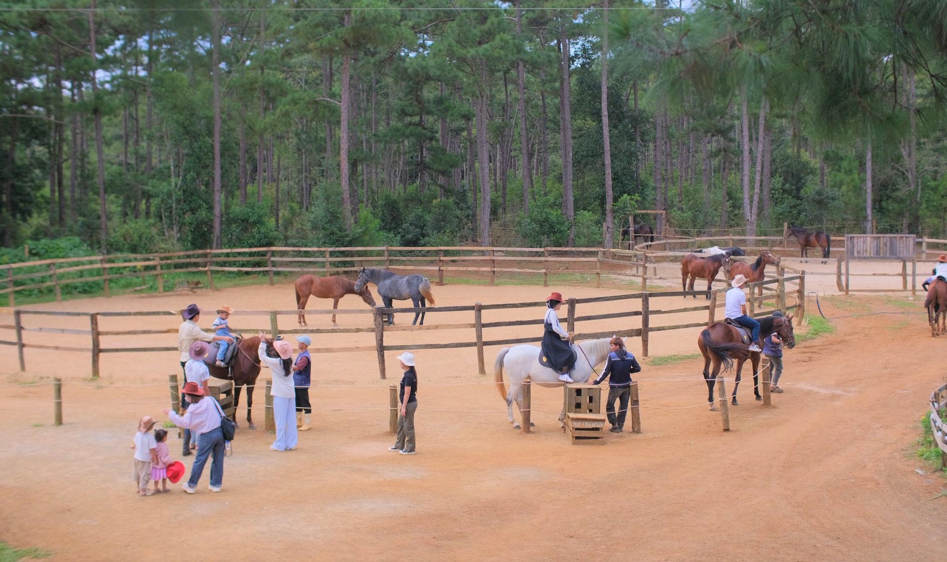 Một góc khu vực du khách cưỡi ngựa tại Măng Đen. Ảnh: CV.