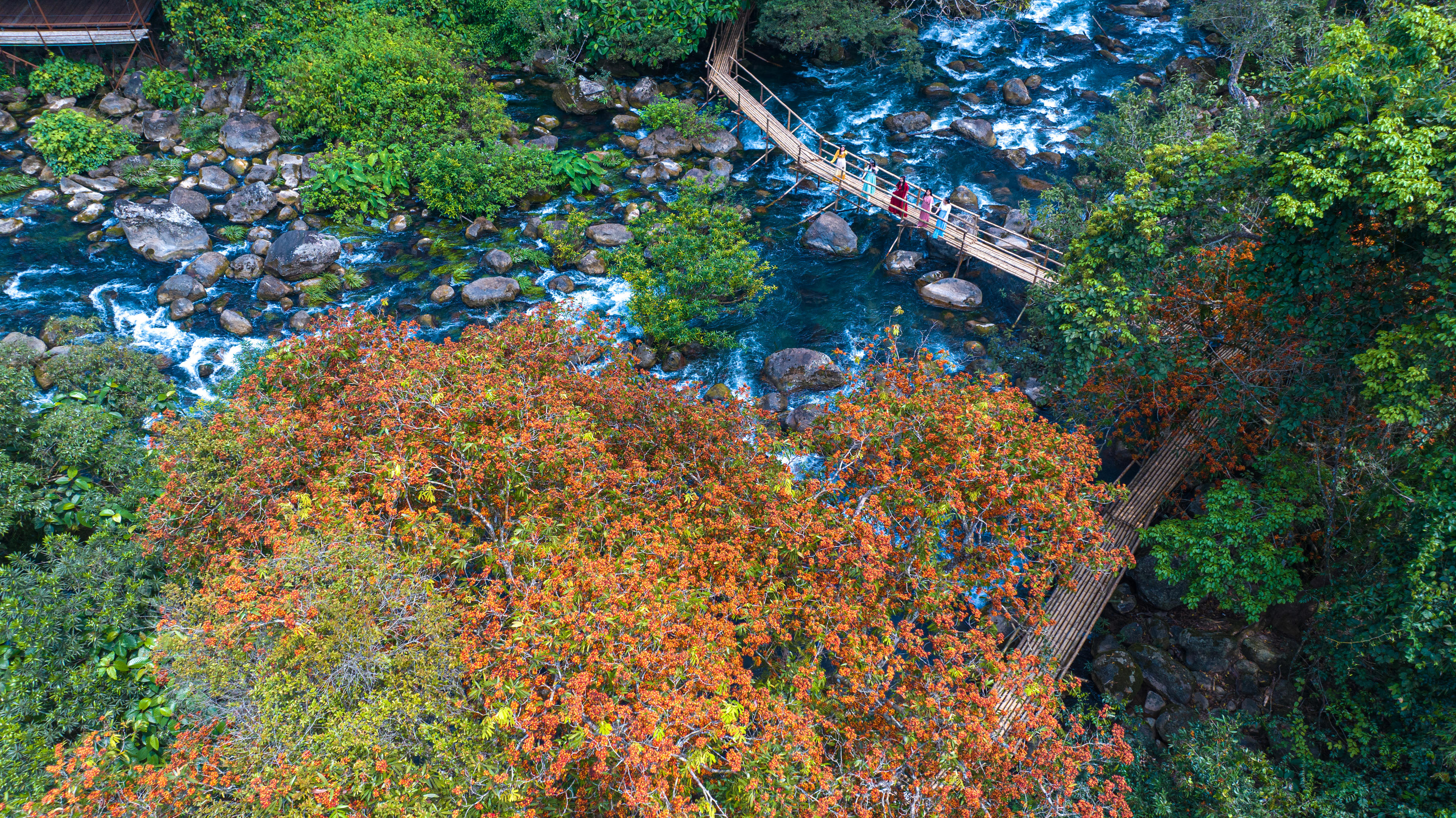 Sự xuất hiện theo mùa của hoa Vàng Anh đã góp phần làm tăng sức hút cho suối Moọc.