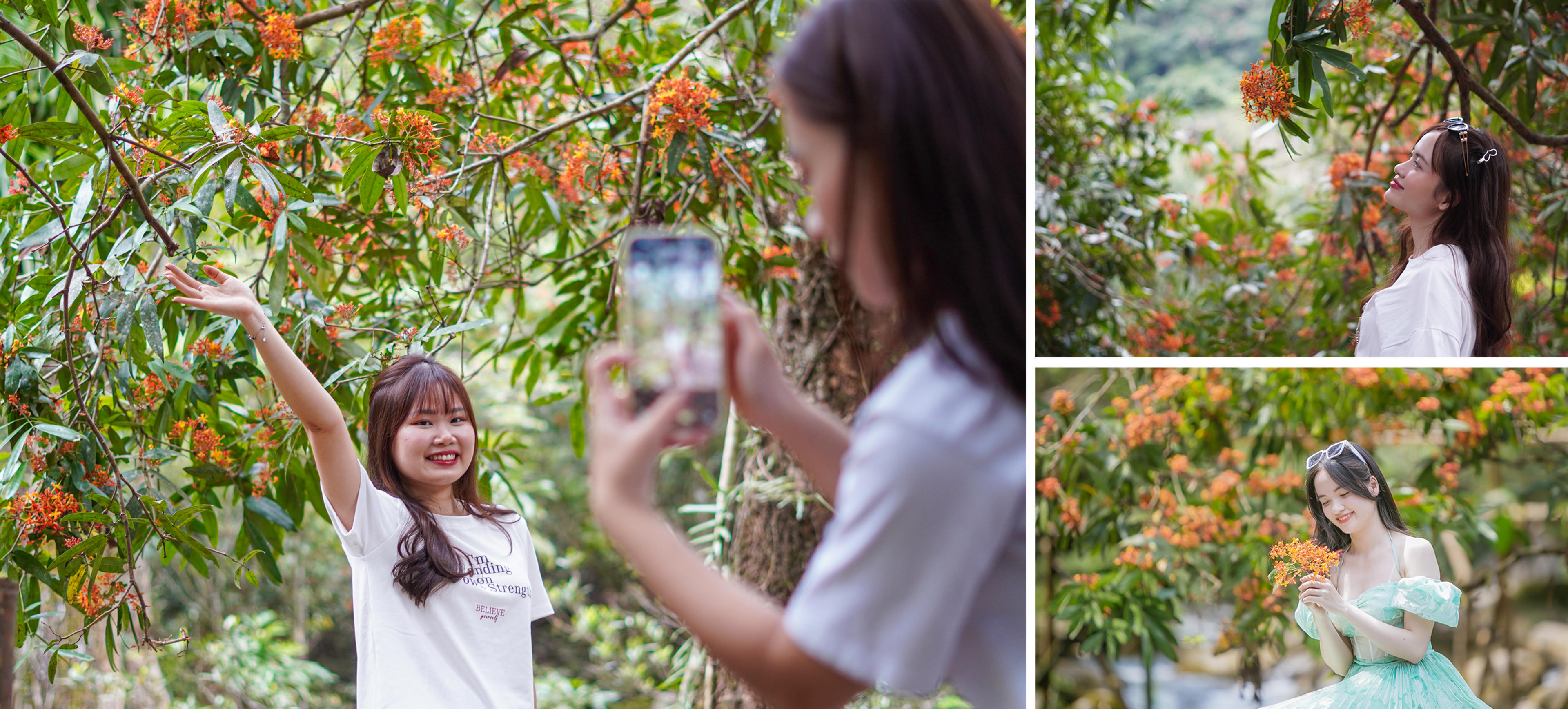 Du khách tham quan, chụp ảnh trên lối đi ven suối Moọc.