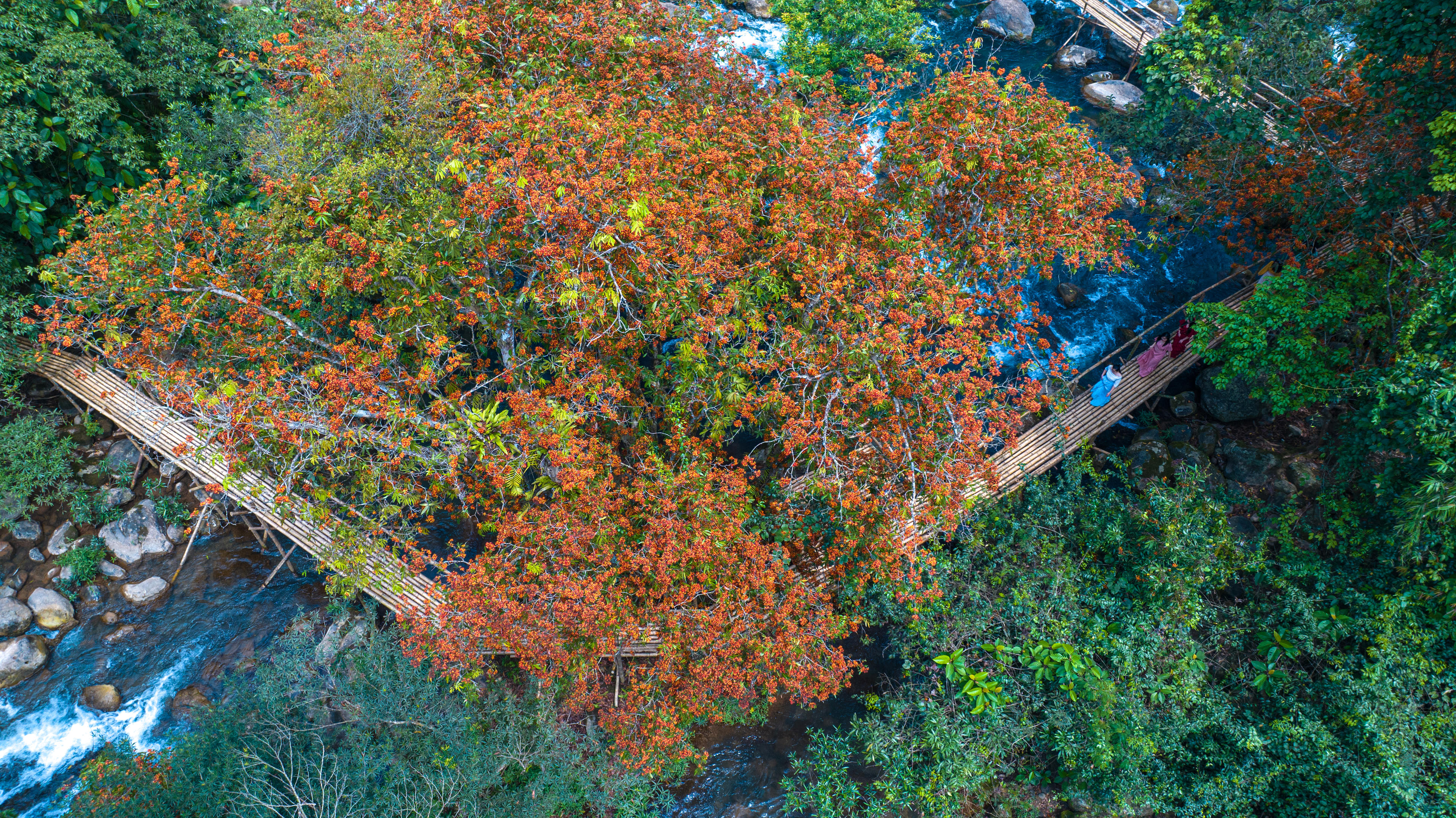 Đây là một trong những điểm du lịch sinh thái thu hút du khách, đặc biệt vào mùa hè và các dịp nghỉ lễ. 