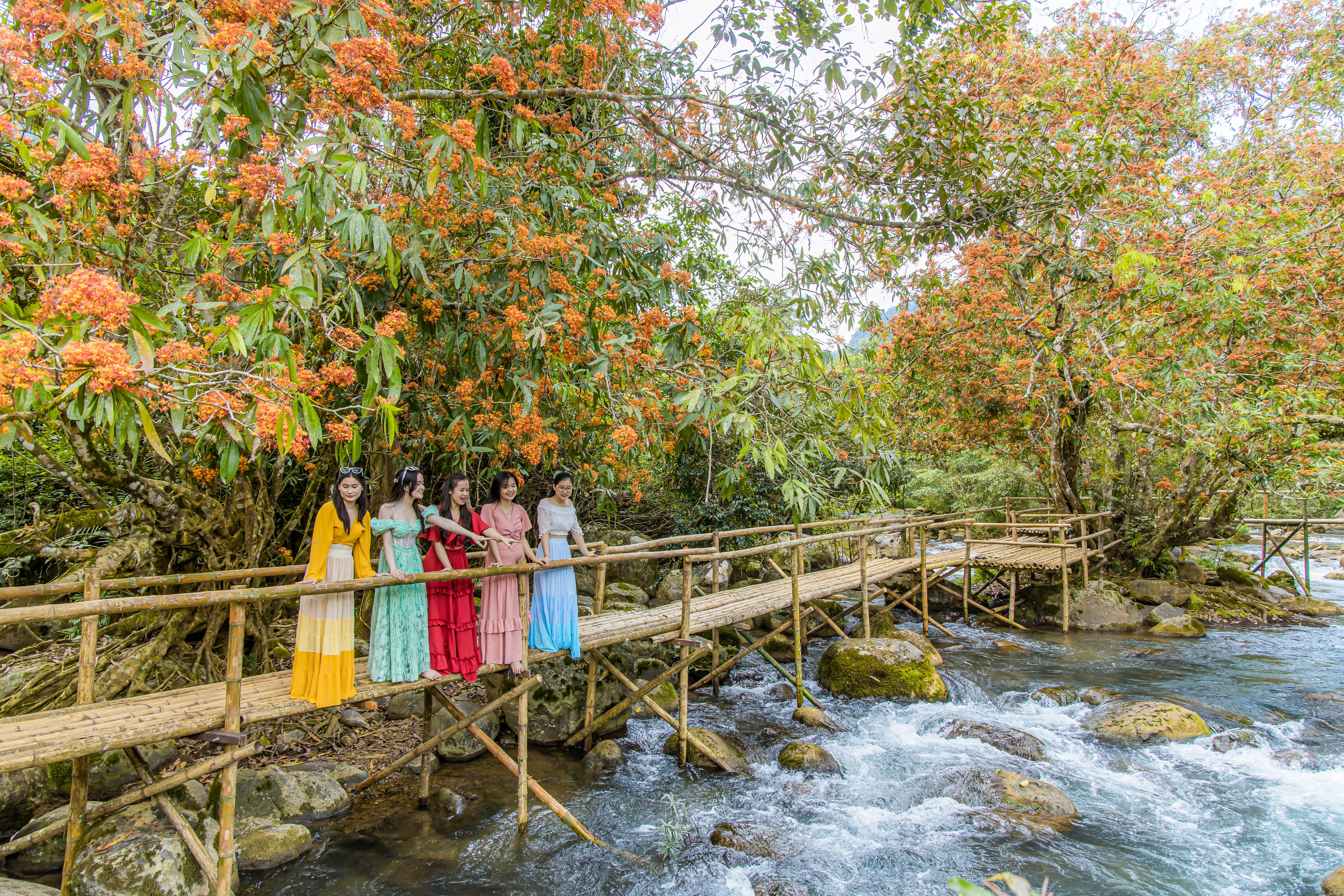 Du khách trải nghiệm tại suối Moọc trong thời điểm hoa Vàng Anh nở, kết hợp tham quan và các hoạt động du lịch sinh thái.