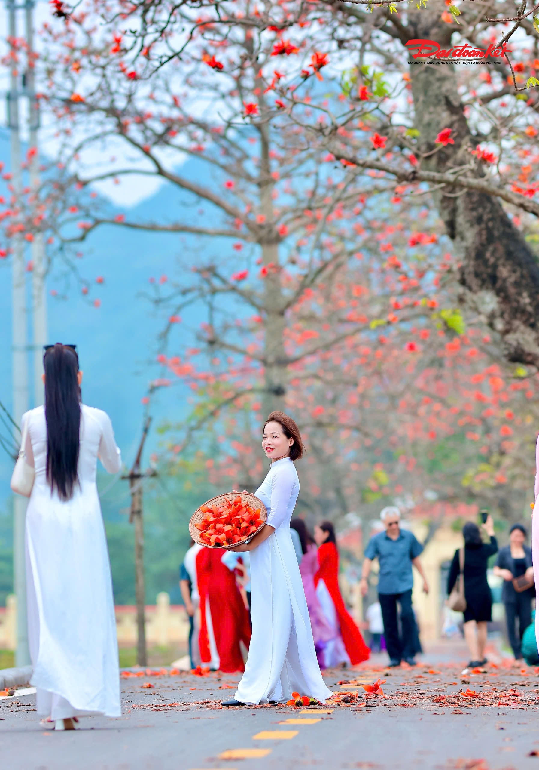 Bạn Minh Anh (23 tuổi, Hà Nội) chia sẻ: “Mình biết đến Đoan Nữ qua mạng xã hội, nhưng khi đến nơi mới cảm nhận hết vẻ đẹp. Hoa gạo nở dày, sắc đỏ rất nổi bật, lại có không gian làng quê yên bình nên chụp ảnh rất ‘ăn hình’. Đây là một trong số ít nơi vẫn giữ được nét mộc mạc như vậy”.