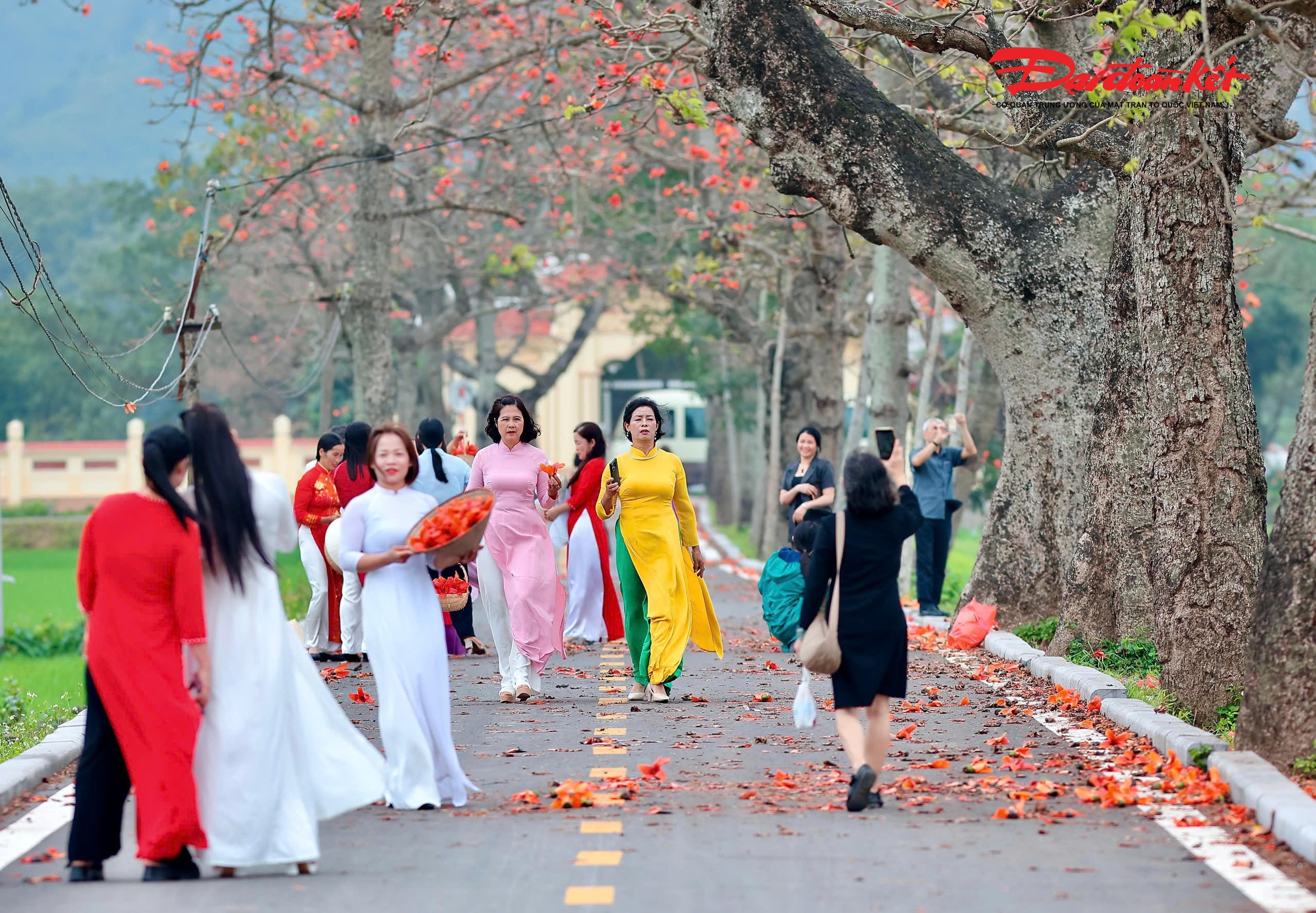 Với nhiều du khách lớn tuổi, hành trình về Đoan Nữ không chỉ để chụp ảnh mà còn là chuyến trở về ký ức. Sắc đỏ của hoa gạo gợi nhớ những con đường làng, bờ ruộng.