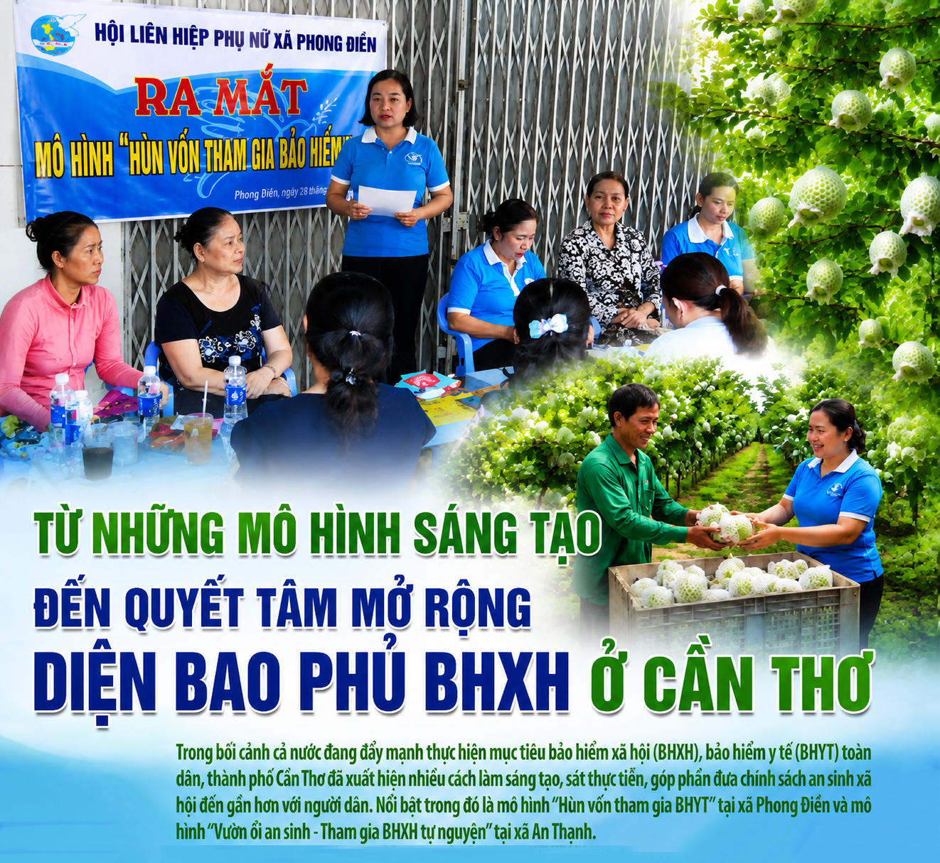 Từ những mô hình sáng tạo đến quyết tâm mở rộng diện bao phủ BHXH ở Cần Thơ