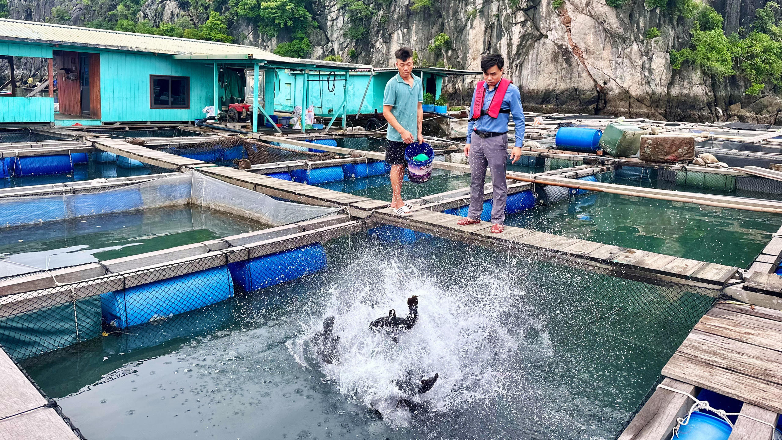 Trong khi đã đổ nhiều vốn liếng "xuống biển" và phải tiếp tục duy trì sản xuất, điều khiến các hộ dân, HTX nuôi trồng thủy sản mong ngóng nhất là sớm được chính thức giao khu vực biển.