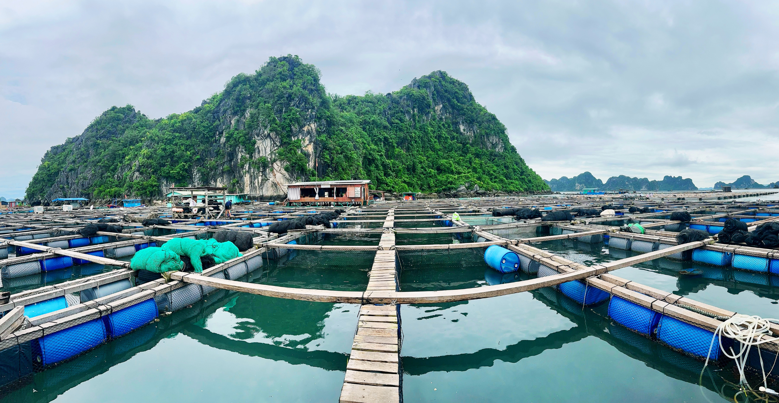 Theo kiến nghị của các hộ dân và HTX nuôi trồng thủy sản ở Quảng Ninh, cần đơn giản hóa thành phần hồ sơ xin giao khu vực biển.
